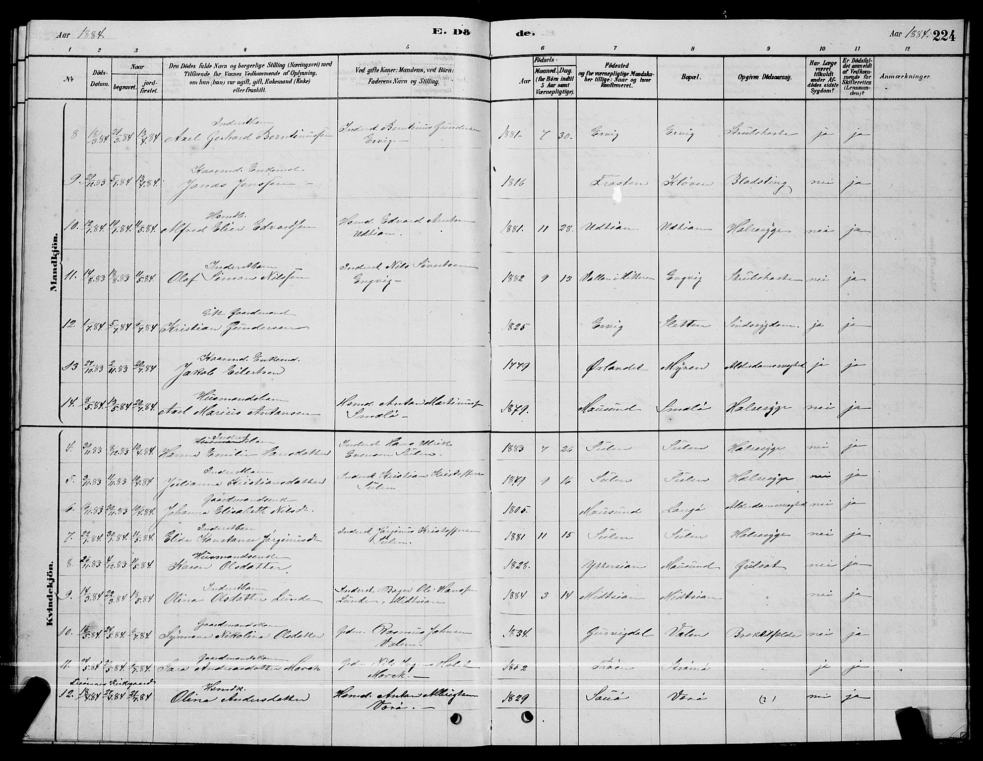 Ministerialprotokoller, klokkerbøker og fødselsregistre - Sør-Trøndelag, SAT/A-1456/640/L0585: Parish register (copy) no. 640C03, 1878-1891, p. 224
