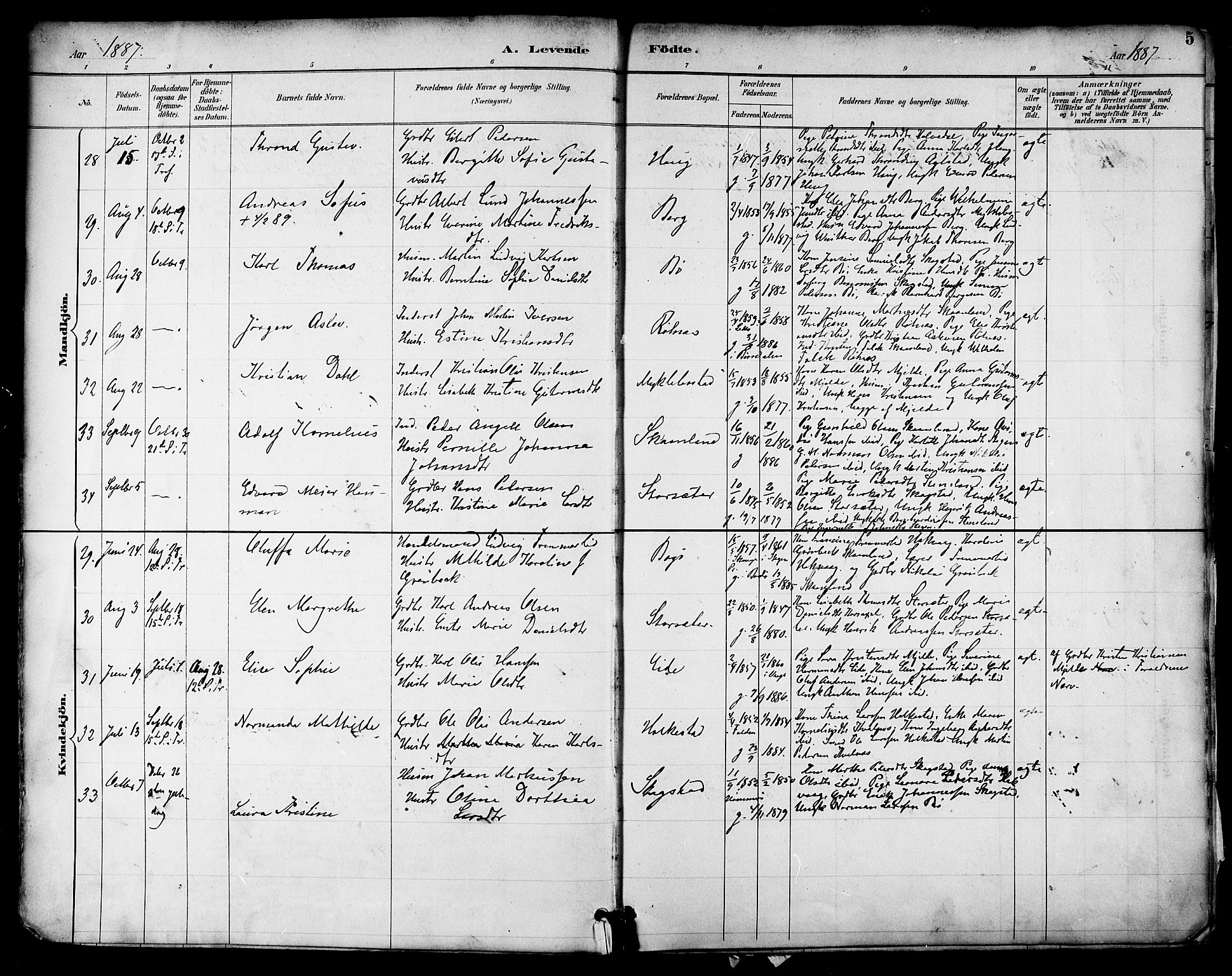 Ministerialprotokoller, klokkerbøker og fødselsregistre - Nordland, AV/SAT-A-1459/855/L0803: Parish register (official) no. 855A11, 1887-1905, p. 5