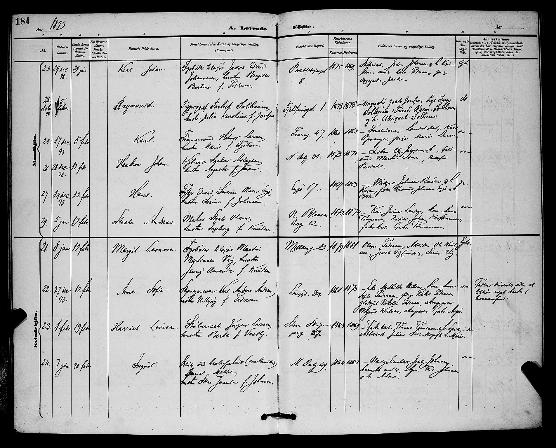 St. Johannes sokneprestkontor, SAST/A-101814/001/30/30BB/L0003: Parish register (copy) no. B 3, 1893-1900, p. 184