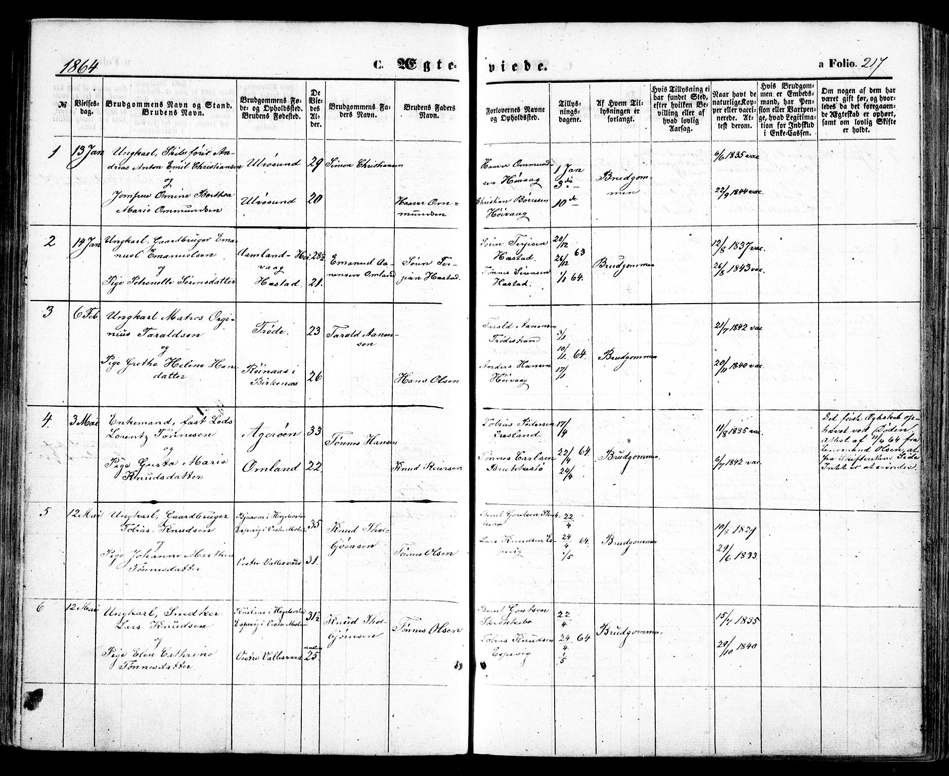 Høvåg sokneprestkontor, SAK/1111-0025/F/Fa/L0004: Parish register (official) no. A 4, 1859-1877, p. 217