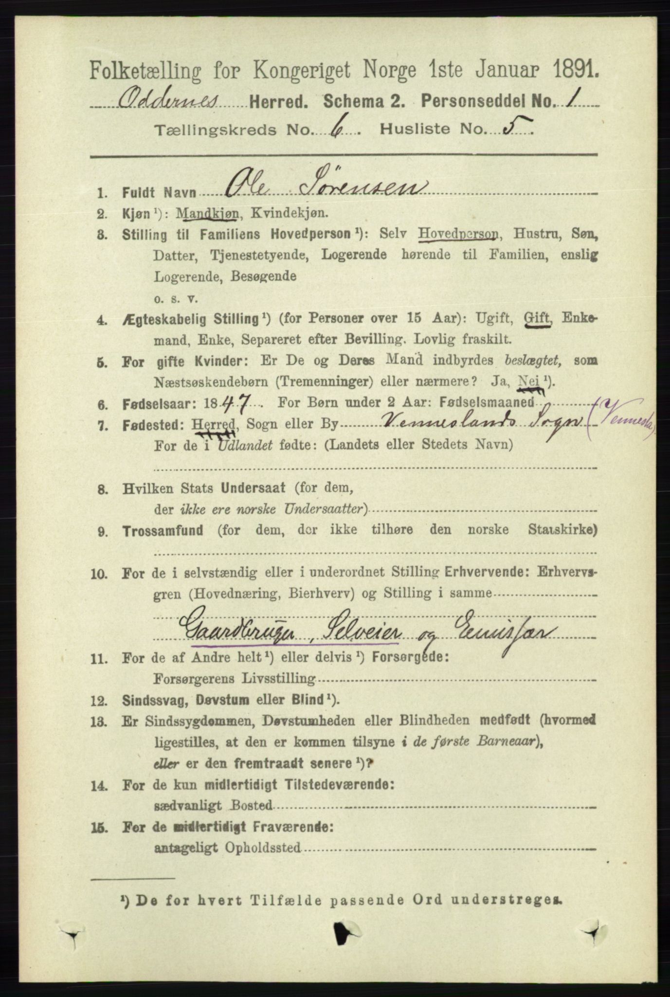 RA, 1891 census for 1012 Oddernes, 1891, p. 2212