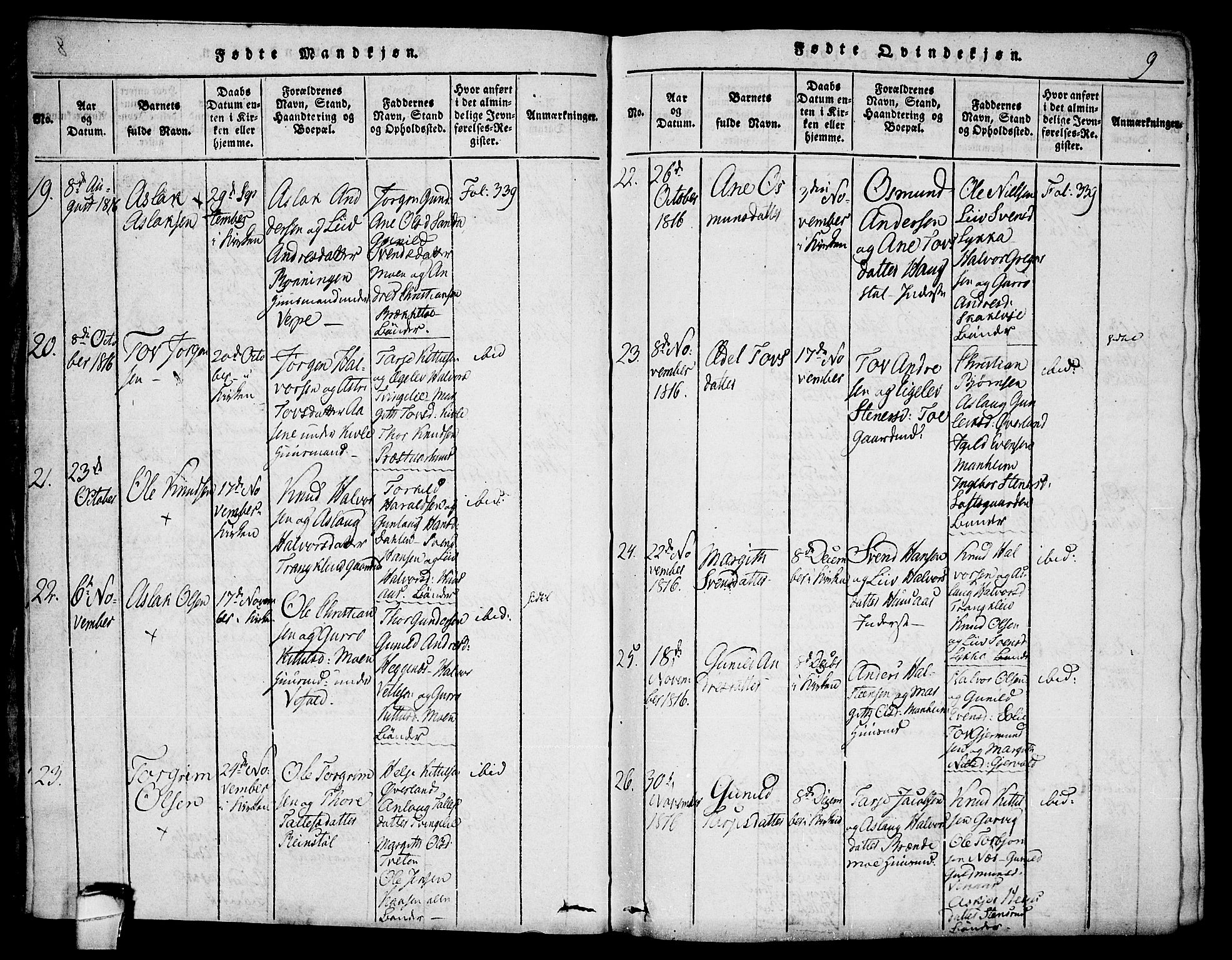 Seljord kirkebøker, AV/SAKO-A-20/F/Fa/L0010: Parish register (official) no. I 10, 1815-1831, p. 9