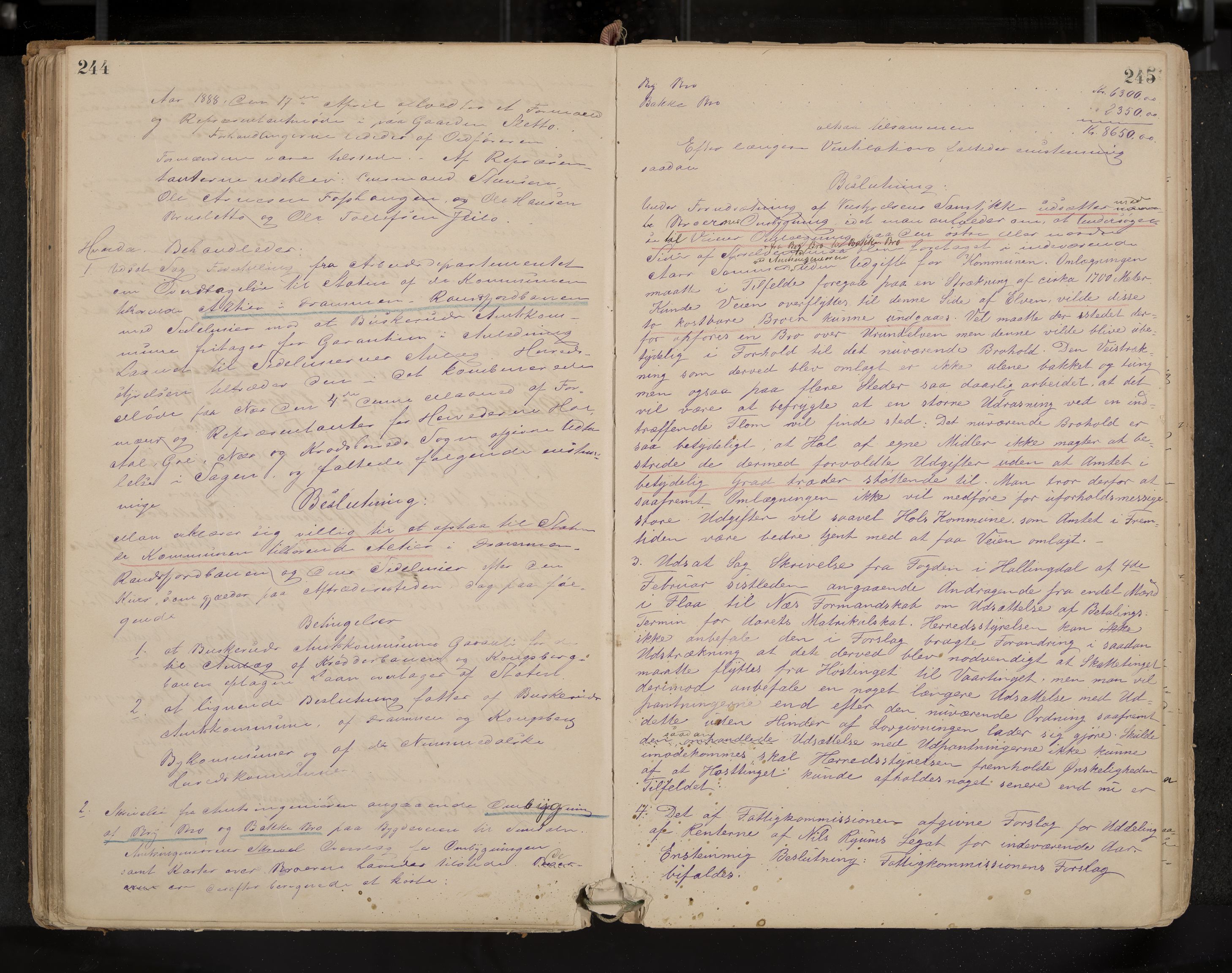 Hol formannskap og sentraladministrasjon, IKAK/0620021-1/A/L0001: Møtebok, 1877-1893, p. 244-245