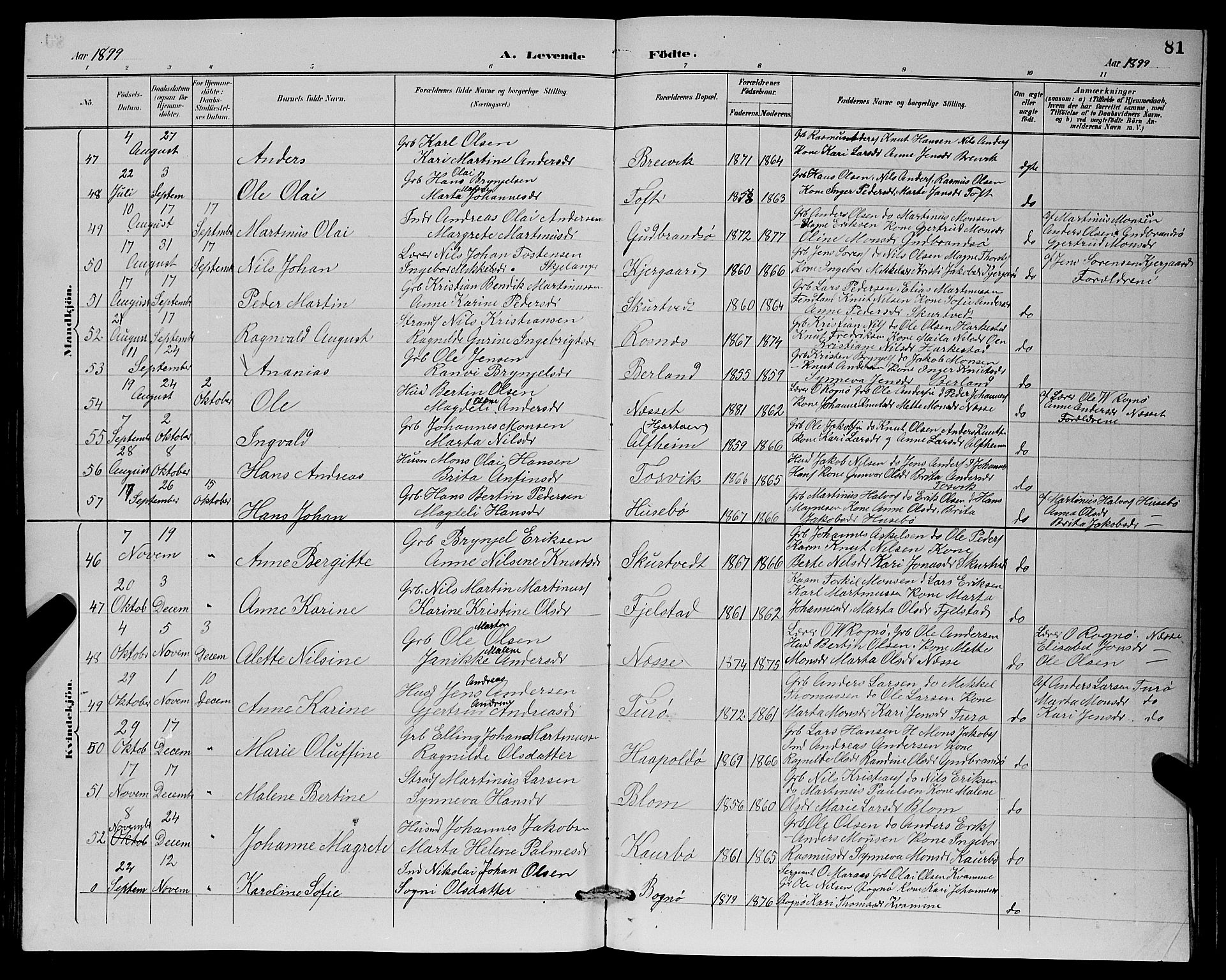 Herdla Sokneprestembete, AV/SAB-A-75701/H/Hab: Parish register (copy) no. A 3, 1889-1899, p. 81