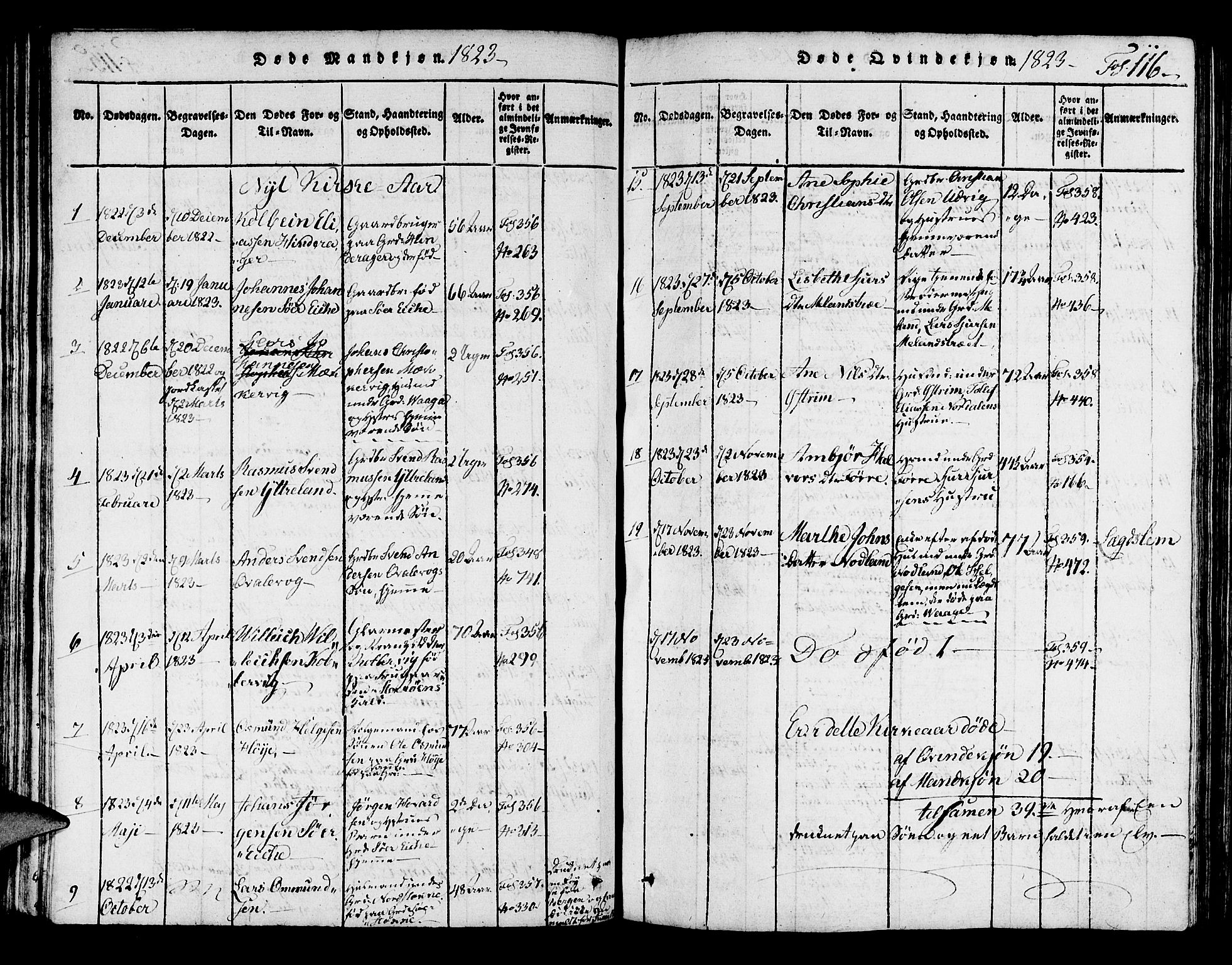 Avaldsnes sokneprestkontor, SAST/A -101851/H/Ha/Haa/L0004: Parish register (official) no. A 4, 1816-1825, p. 116