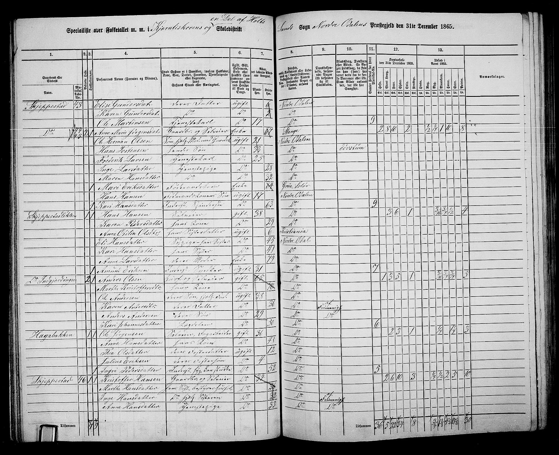 RA, 1865 census for Nord-Odal, 1865, p. 75