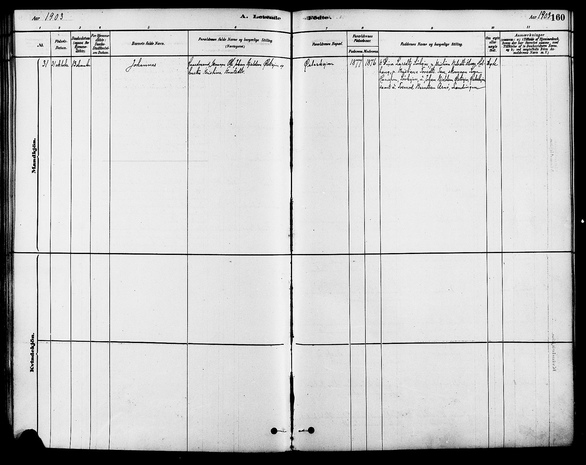 Strand sokneprestkontor, AV/SAST-A-101828/H/Ha/Haa/L0009: Parish register (official) no. A 9, 1877-1908, p. 160