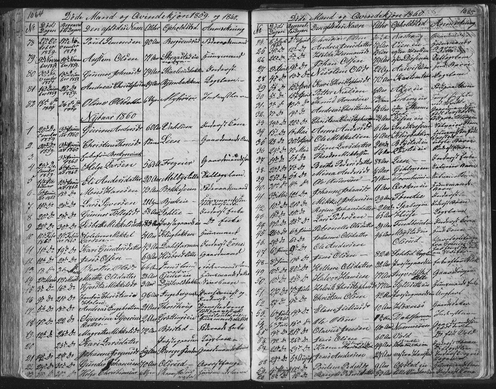 Vang prestekontor, Hedmark, SAH/PREST-008/H/Ha/Hab/L0010B: Parish register (copy) no. 10b, 1854-1896, p. 1064-1065