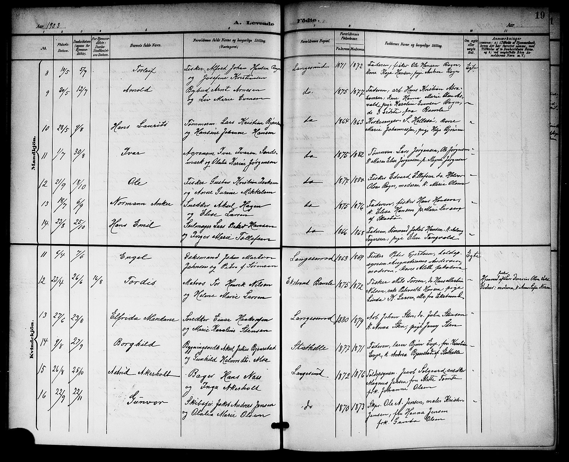 Langesund kirkebøker, AV/SAKO-A-280/G/Ga/L0006: Parish register (copy) no. 6, 1899-1918, p. 19
