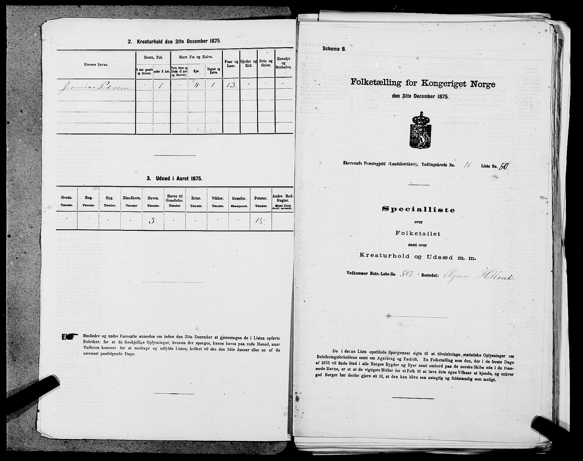 SAST, 1875 census for 1116L Eigersund/Eigersund og Ogna, 1875, p. 1229