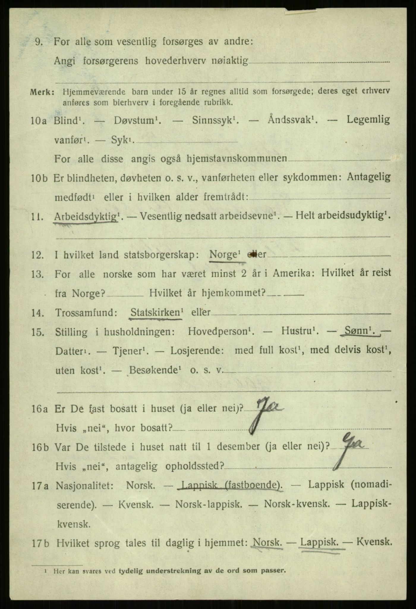 SATØ, 1920 census for Ibestad, 1920, p. 3113