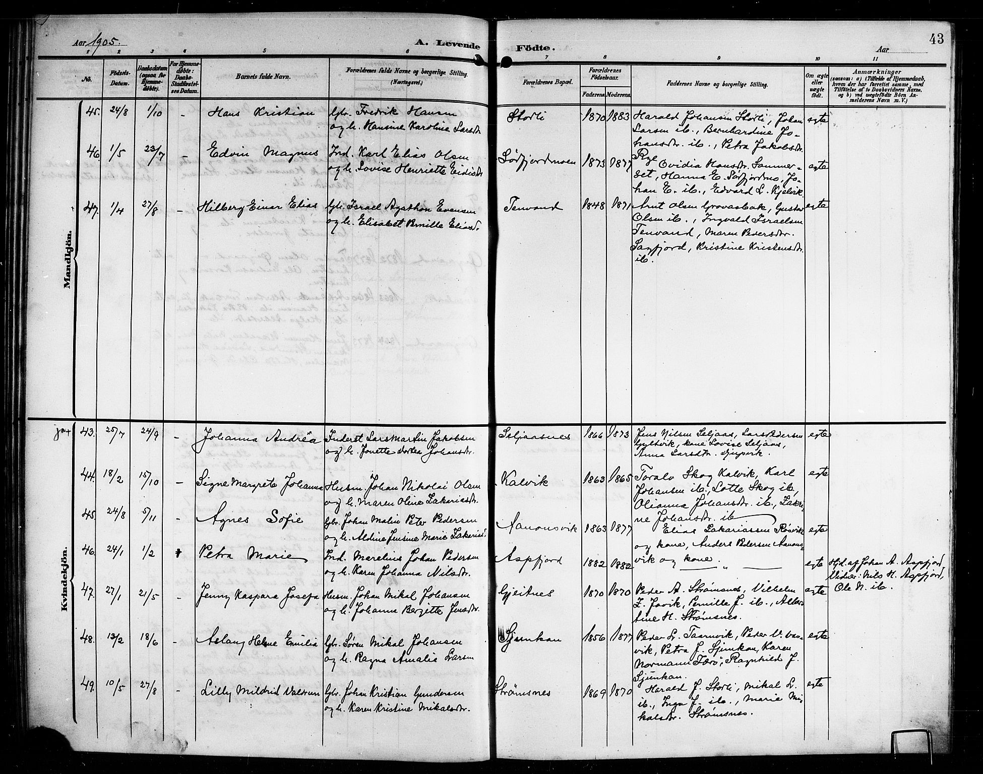 Ministerialprotokoller, klokkerbøker og fødselsregistre - Nordland, AV/SAT-A-1459/854/L0786: Parish register (copy) no. 854C02, 1901-1912, p. 43