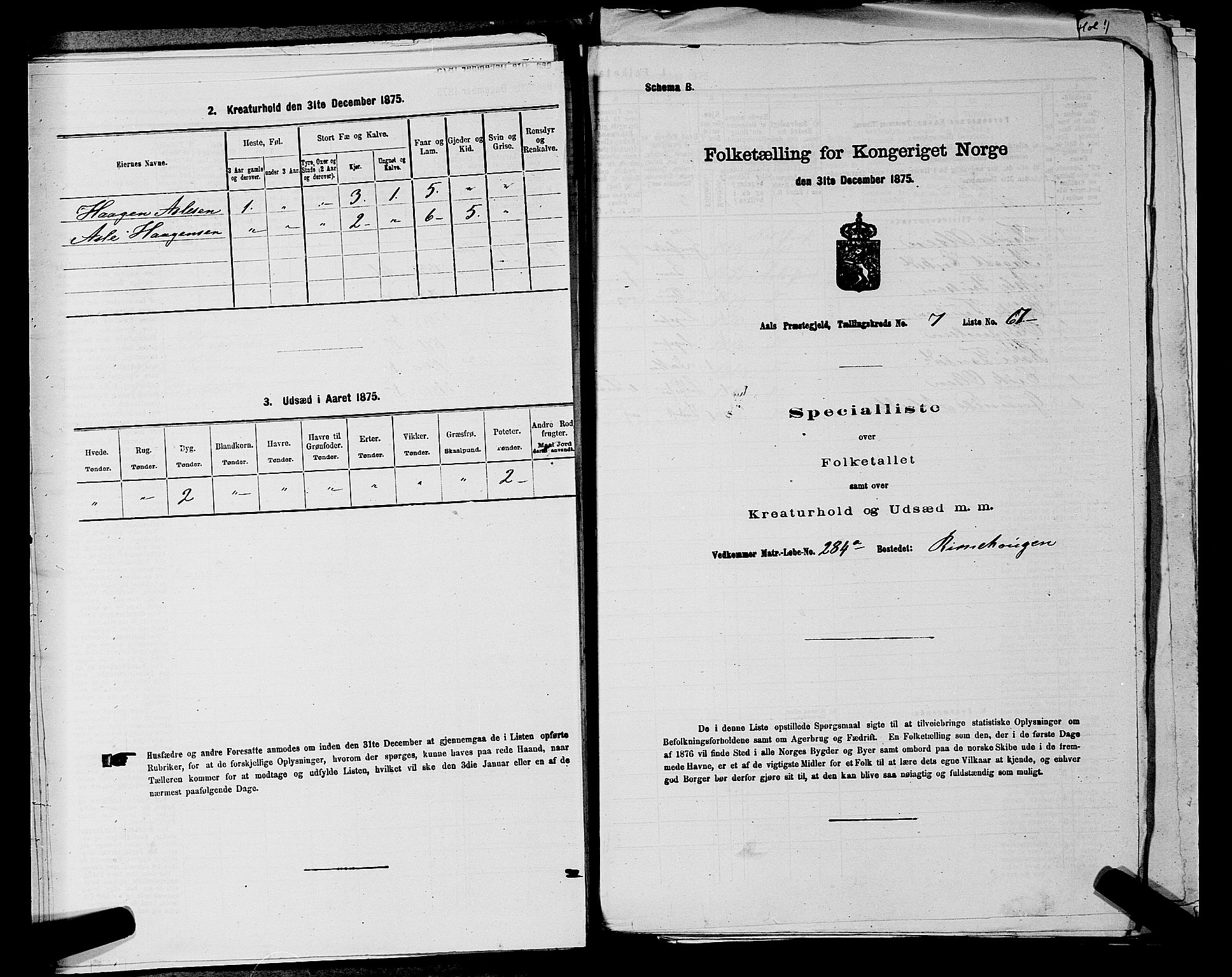 SAKO, 1875 census for 0619P Ål, 1875, p. 970