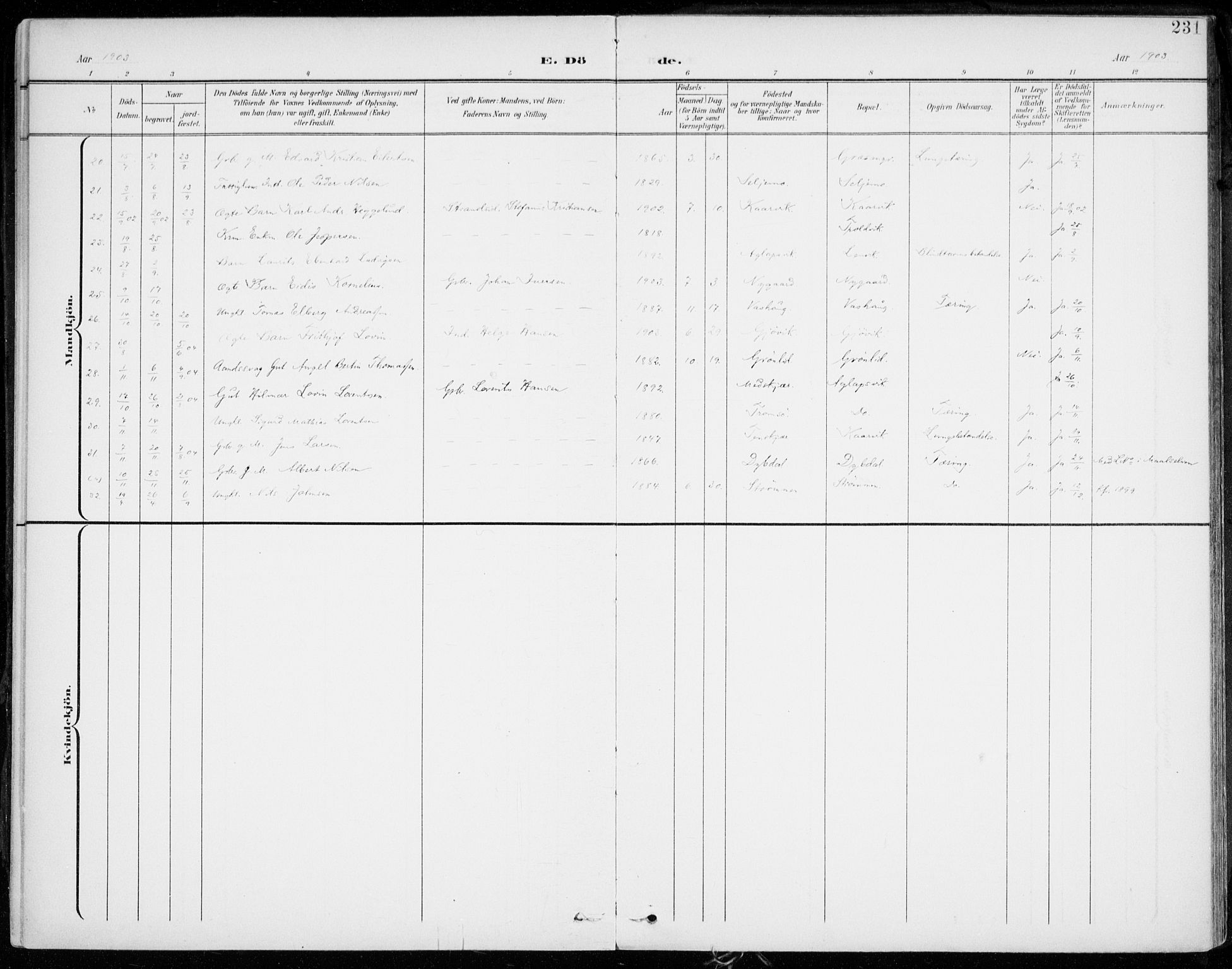 Lenvik sokneprestembete, AV/SATØ-S-1310/H/Ha/Haa/L0014kirke: Parish register (official) no. 14, 1899-1909, p. 231