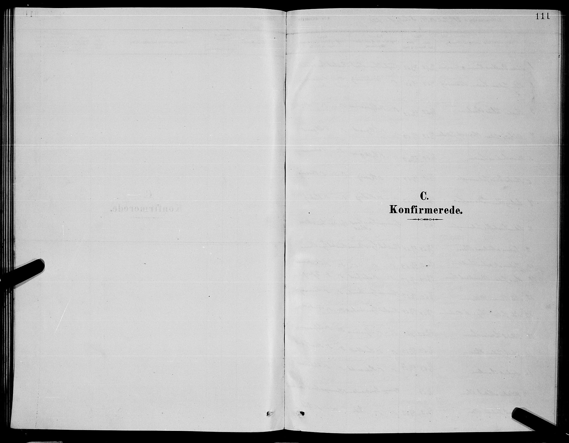 Ministerialprotokoller, klokkerbøker og fødselsregistre - Nordland, SAT/A-1459/853/L0776: Parish register (copy) no. 853C04, 1878-1889, p. 111