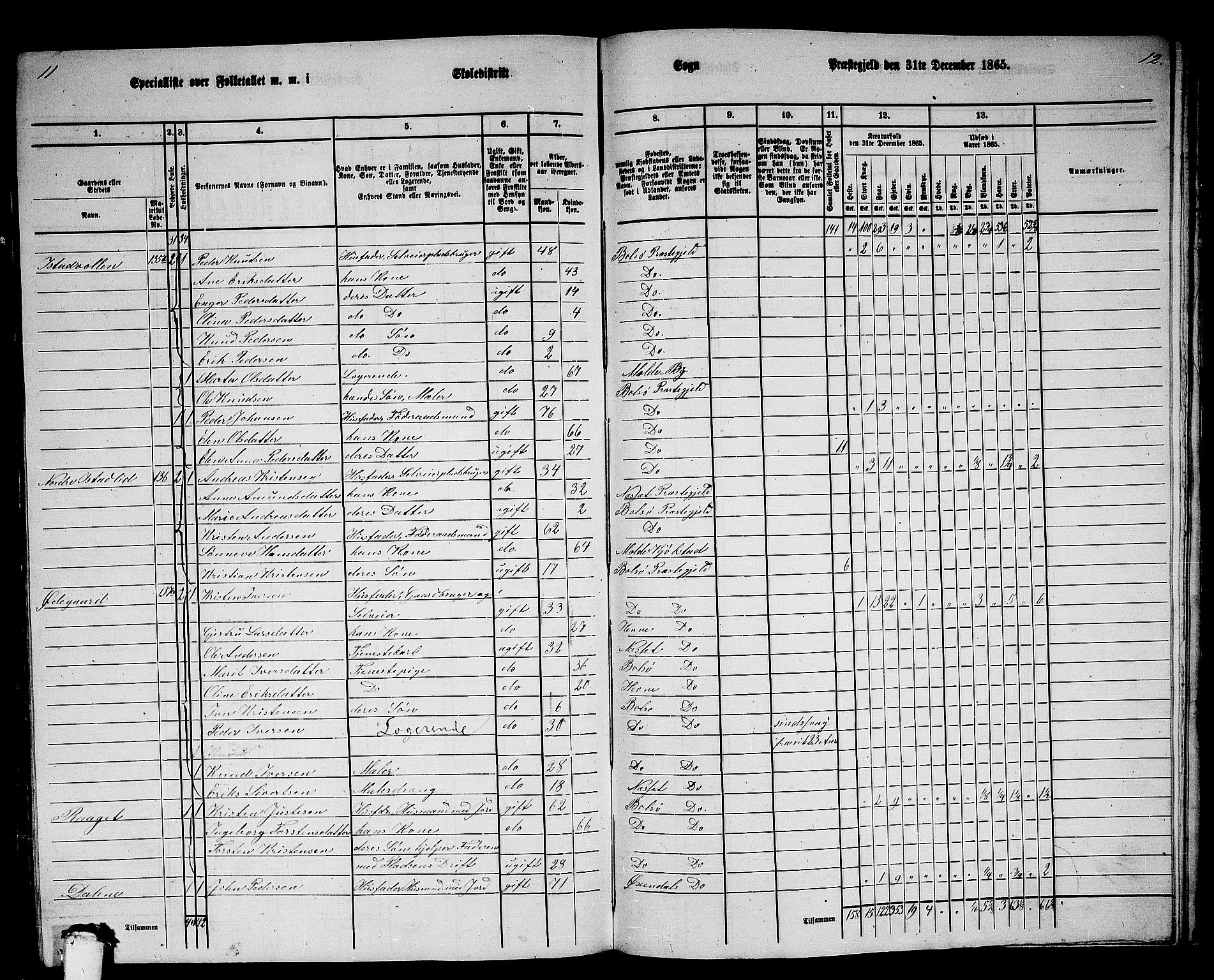 RA, 1865 census for Bolsøy, 1865, p. 116