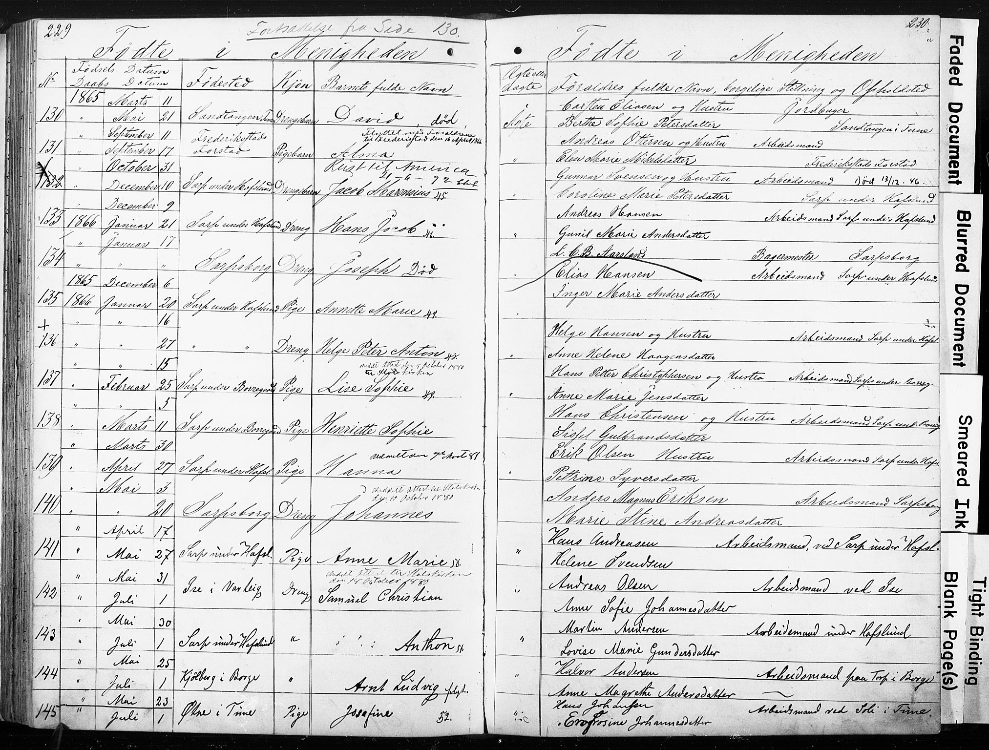 Sarpsborg metodistkirke, SAO/PAO-0233/A/L0001: Dissenter register no. 1, 1856-1875, p. 229-230