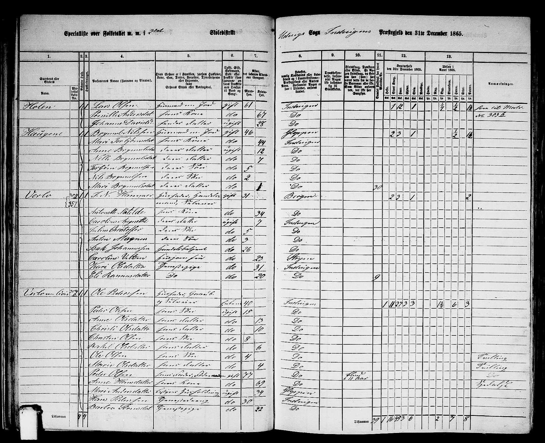 RA, 1865 census for Innvik, 1865, p. 36