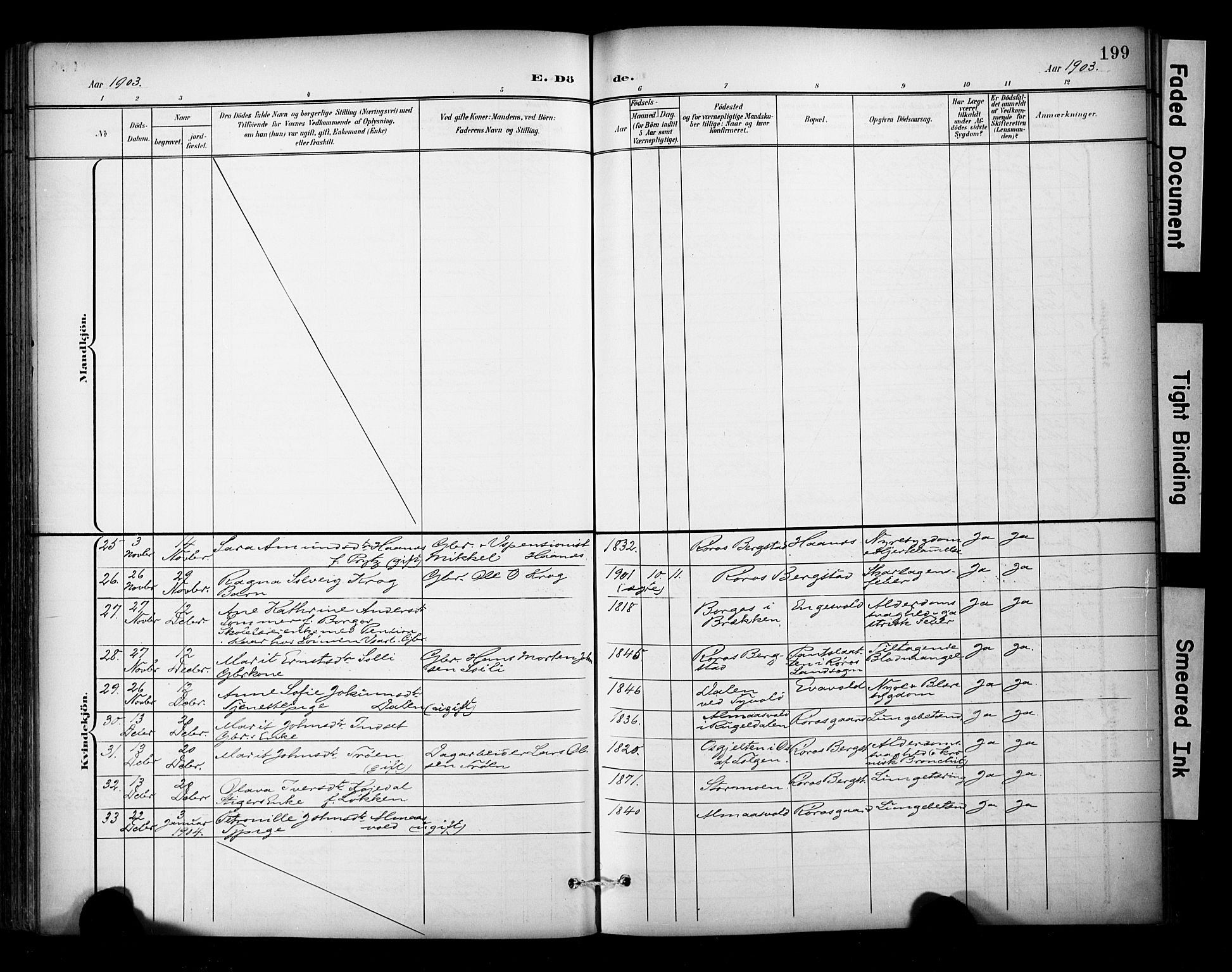 Ministerialprotokoller, klokkerbøker og fødselsregistre - Sør-Trøndelag, SAT/A-1456/681/L0936: Parish register (official) no. 681A14, 1899-1908, p. 199