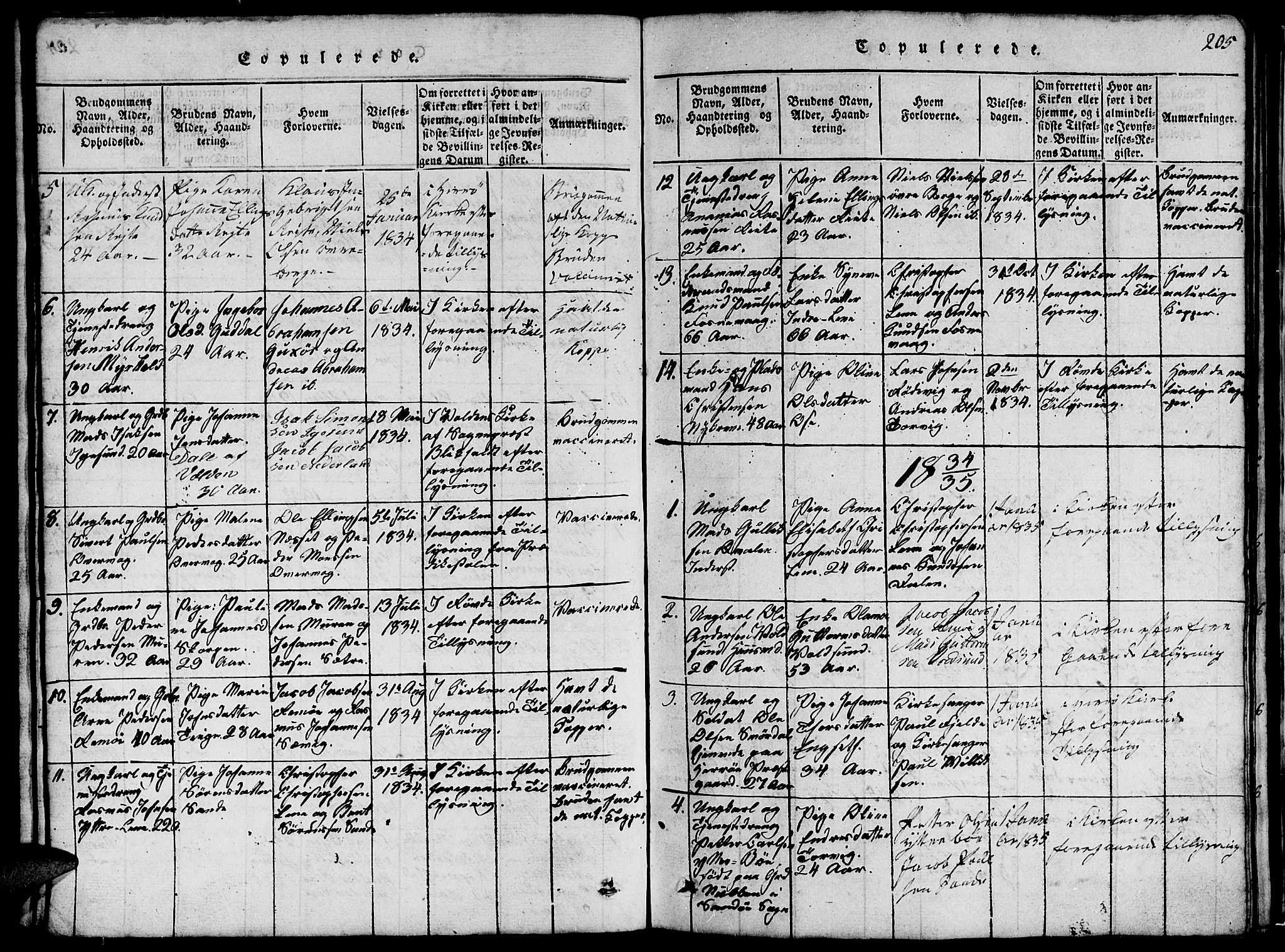 Ministerialprotokoller, klokkerbøker og fødselsregistre - Møre og Romsdal, AV/SAT-A-1454/507/L0078: Parish register (copy) no. 507C01, 1816-1840, p. 205