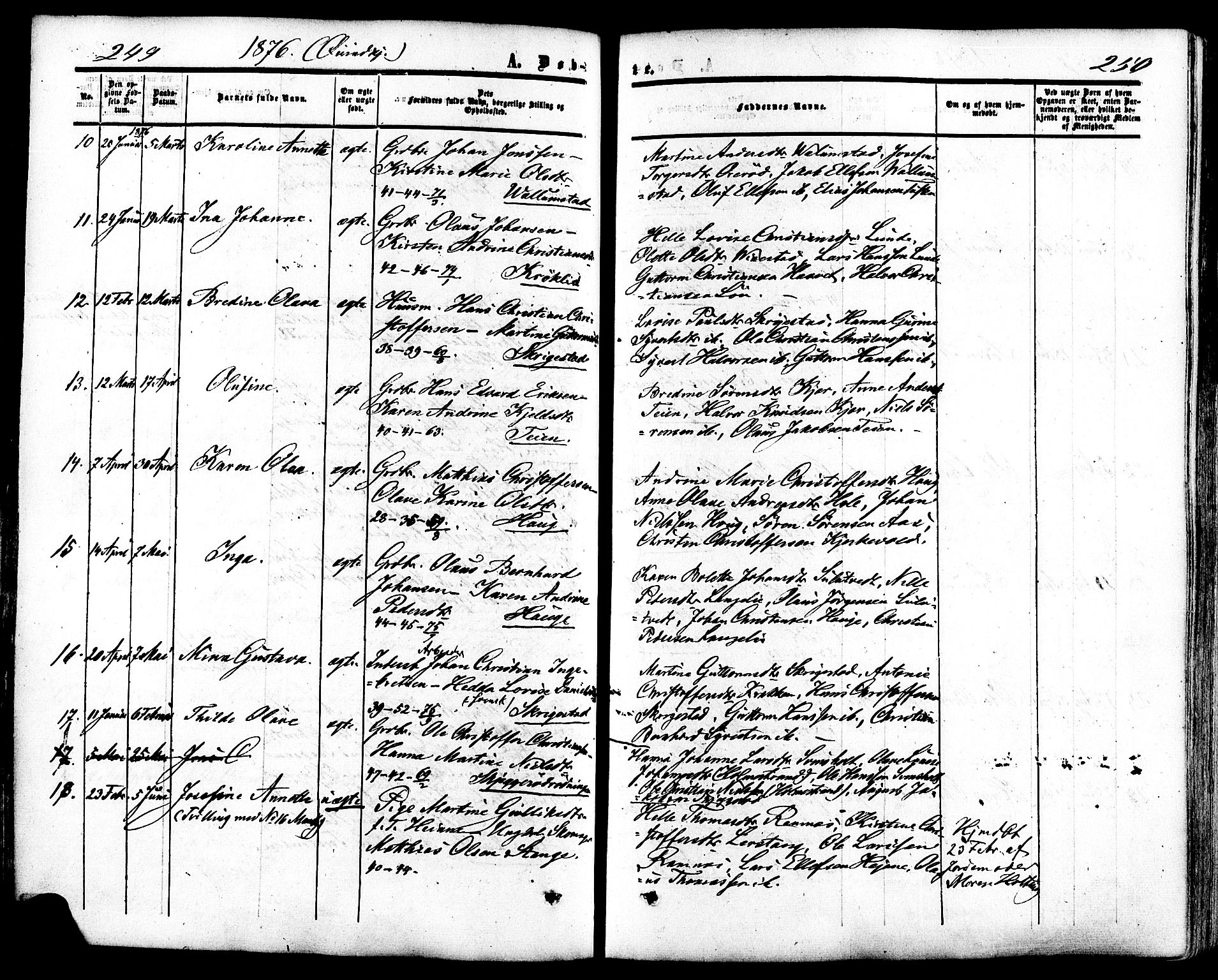 Ramnes kirkebøker, SAKO/A-314/F/Fa/L0006: Parish register (official) no. I 6, 1862-1877, p. 249-250