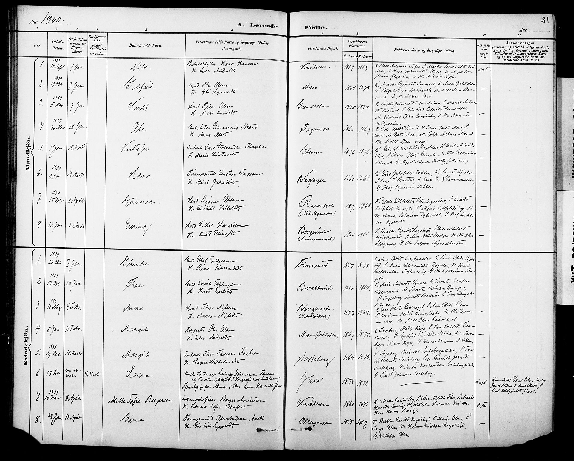 Krødsherad kirkebøker, AV/SAKO-A-19/G/Ga/L0002: Parish register (copy) no. 2, 1894-1918, p. 31