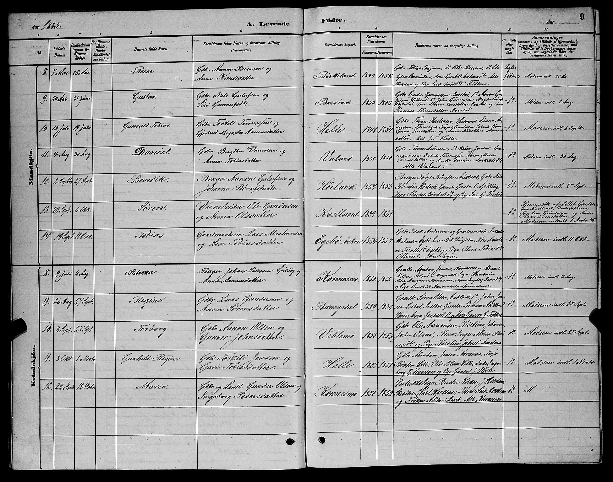 Nord-Audnedal sokneprestkontor, SAK/1111-0032/F/Fb/Fba/L0003: Parish register (copy) no. B 3, 1881-1900, p. 9
