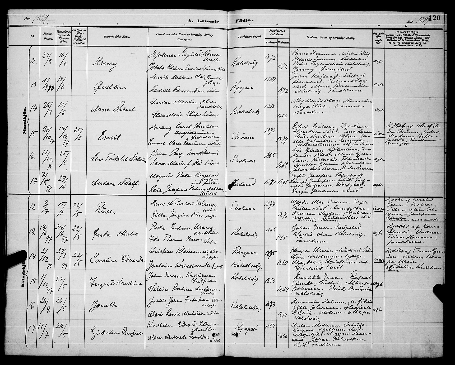 Ministerialprotokoller, klokkerbøker og fødselsregistre - Nordland, AV/SAT-A-1459/874/L1077: Parish register (copy) no. 874C06, 1891-1900, p. 120