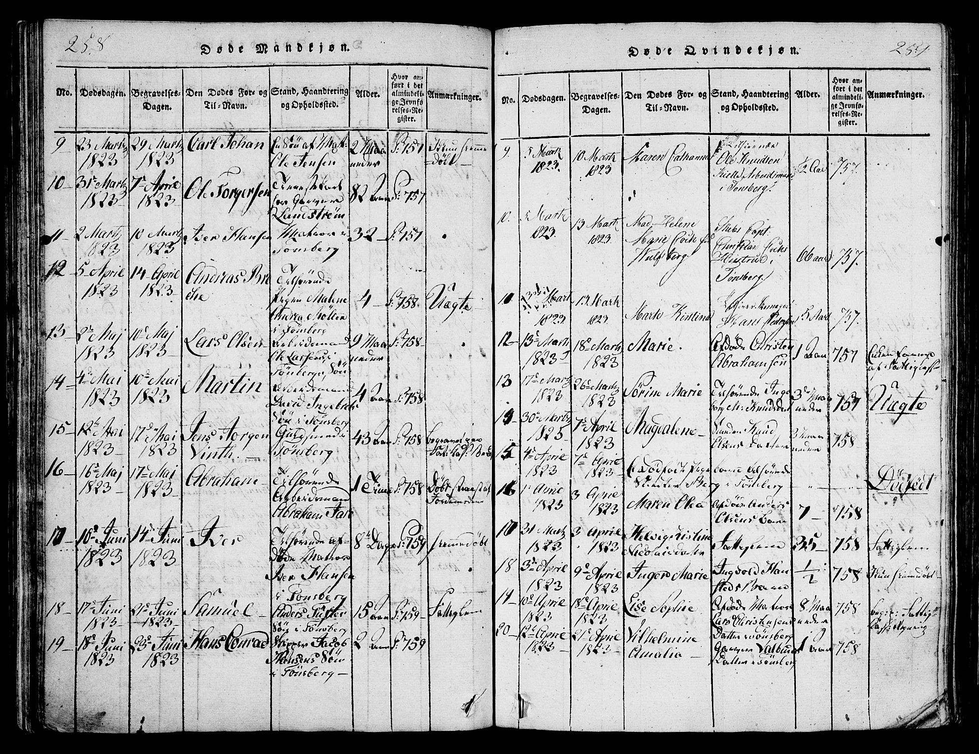 Tønsberg kirkebøker, AV/SAKO-A-330/F/Fa/L0004: Parish register (official) no. I 4, 1813-1826, p. 258-259