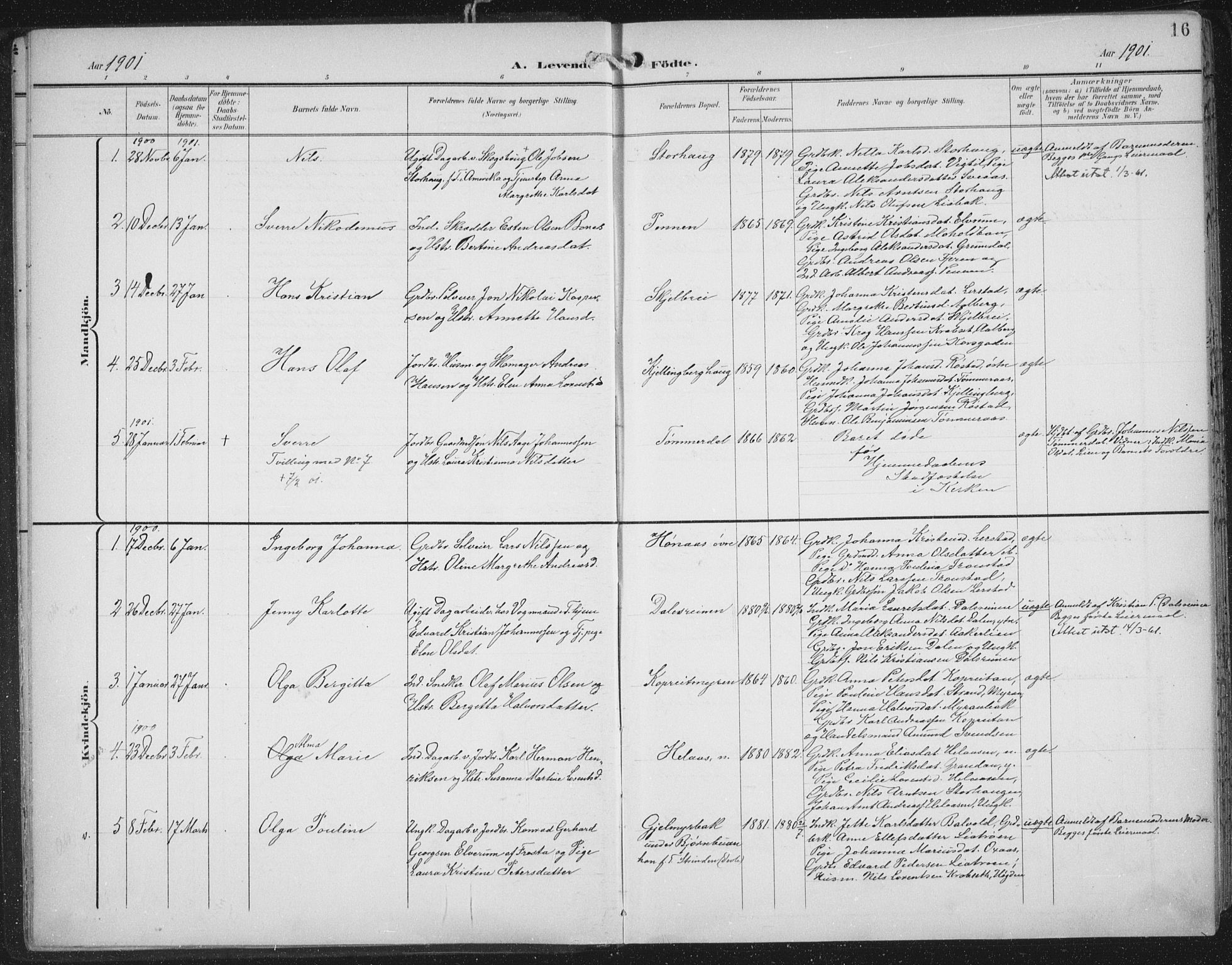 Ministerialprotokoller, klokkerbøker og fødselsregistre - Nord-Trøndelag, SAT/A-1458/701/L0011: Parish register (official) no. 701A11, 1899-1915, p. 16