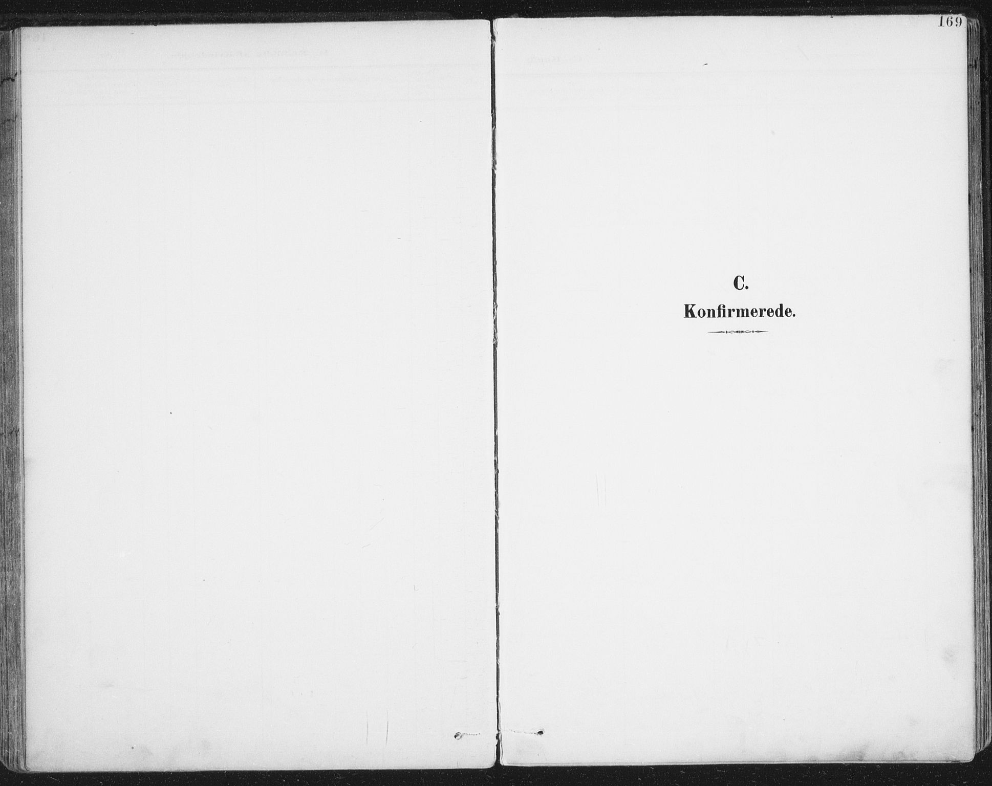 Ministerialprotokoller, klokkerbøker og fødselsregistre - Nordland, AV/SAT-A-1459/852/L0741: Parish register (official) no. 852A11, 1894-1917, p. 169