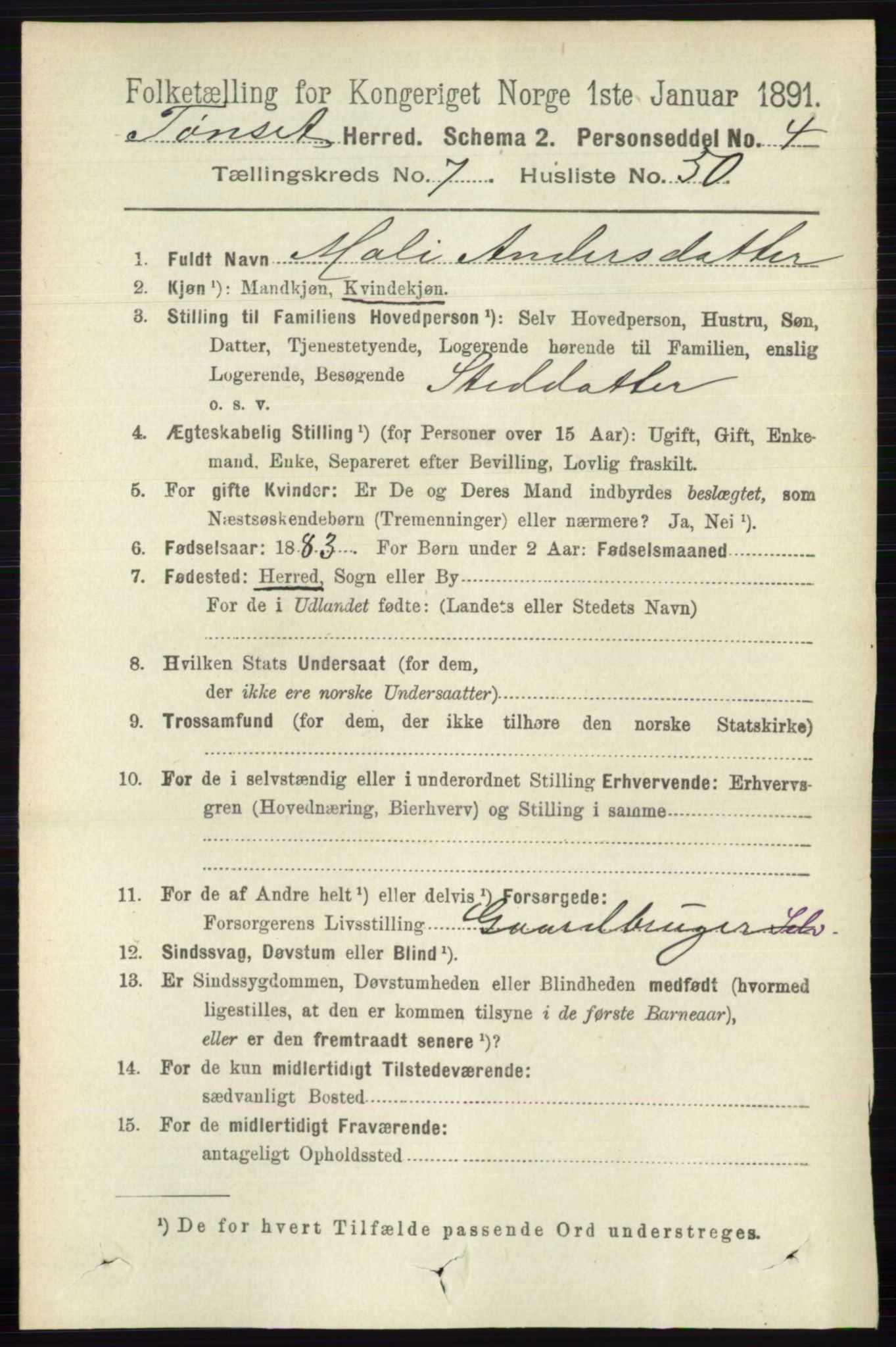 RA, 1891 census for 0437 Tynset, 1891, p. 2024