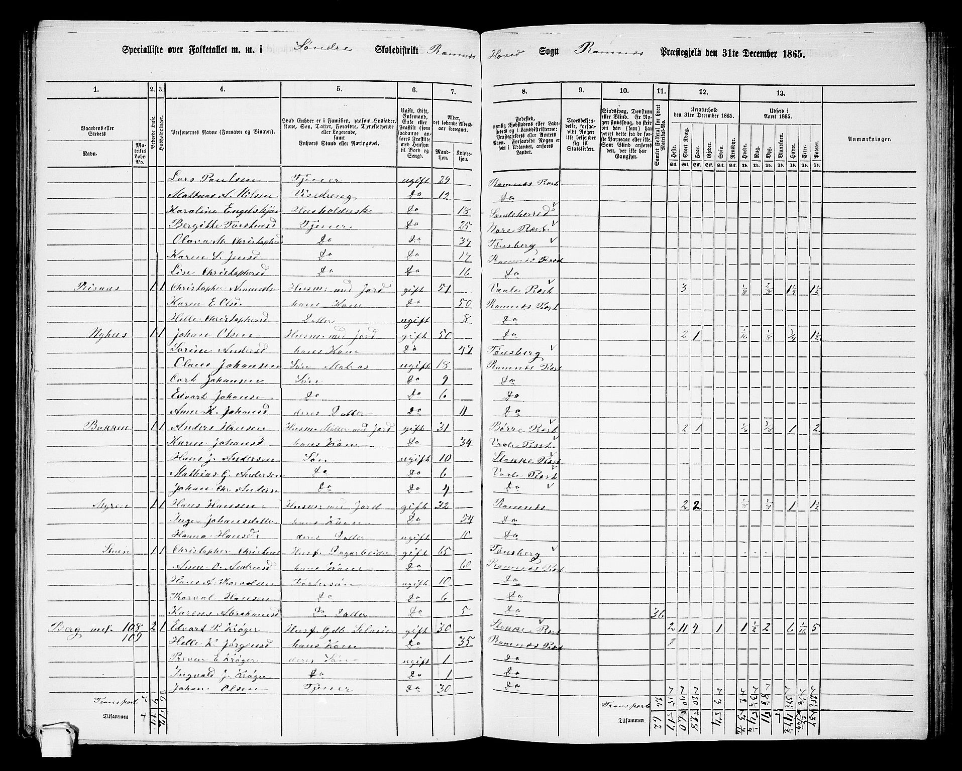 RA, 1865 census for Ramnes, 1865, p. 16