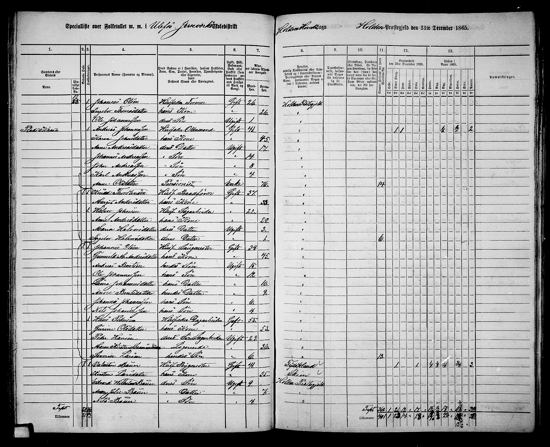 RA, 1865 census for Holla, 1865, p. 61