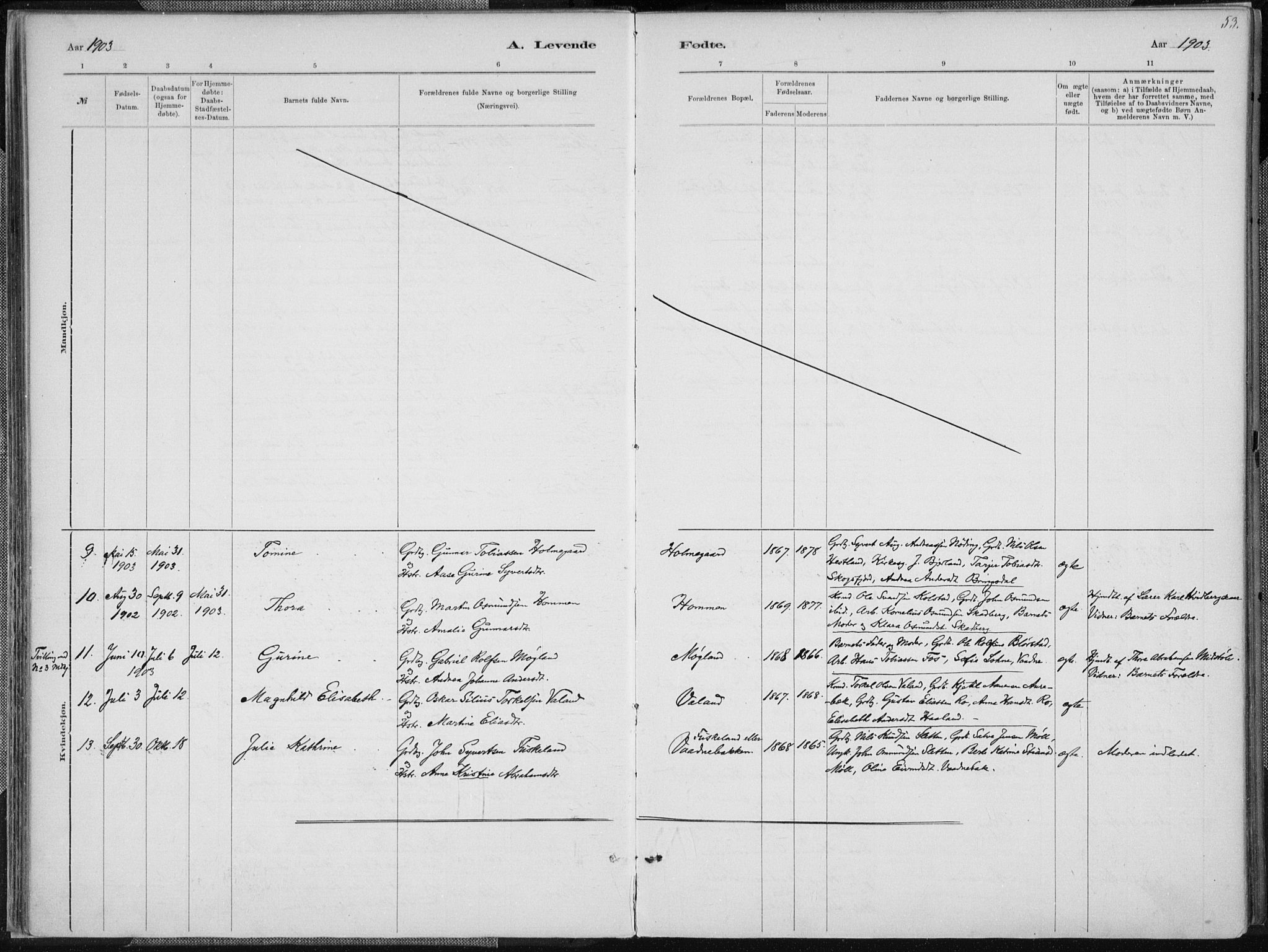 Holum sokneprestkontor, AV/SAK-1111-0022/F/Fa/Faa/L0007: Parish register (official) no. A 7, 1884-1907, p. 53