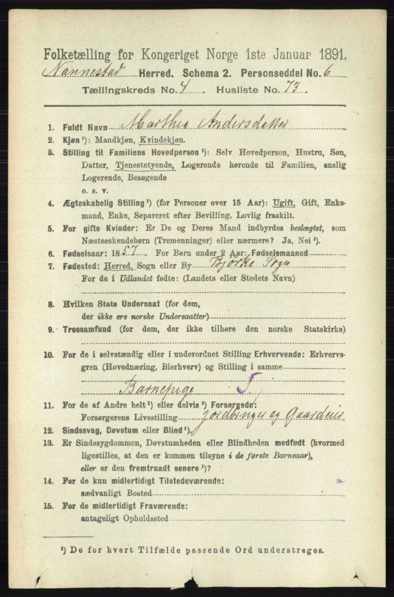 RA, 1891 census for 0238 Nannestad, 1891, p. 2504