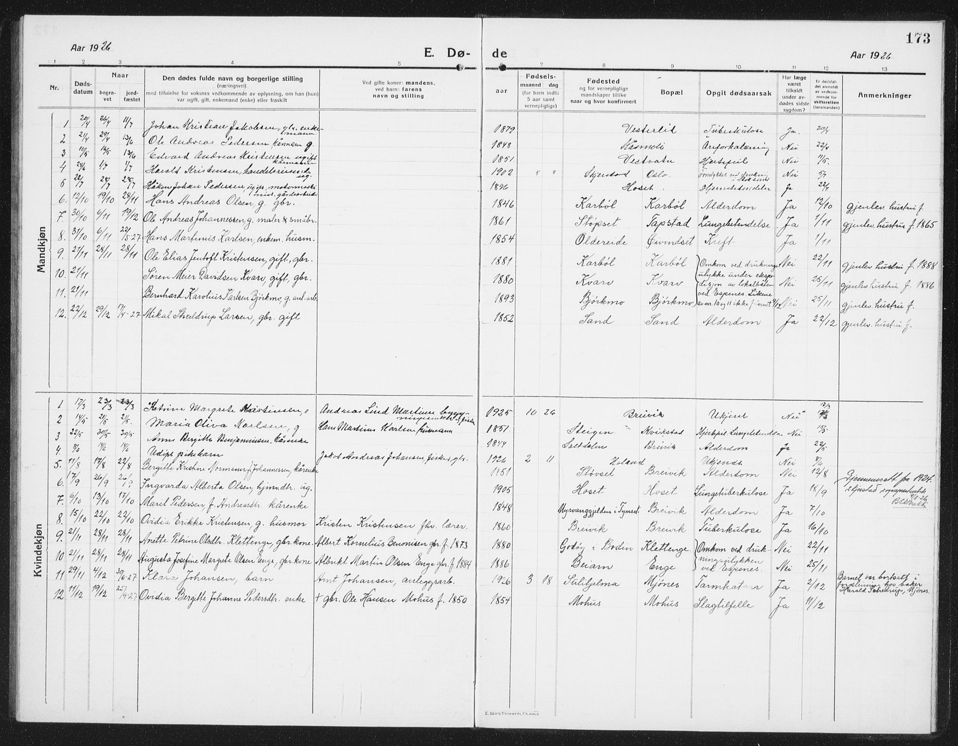 Ministerialprotokoller, klokkerbøker og fødselsregistre - Nordland, AV/SAT-A-1459/852/L0757: Parish register (copy) no. 852C08, 1916-1934, p. 173