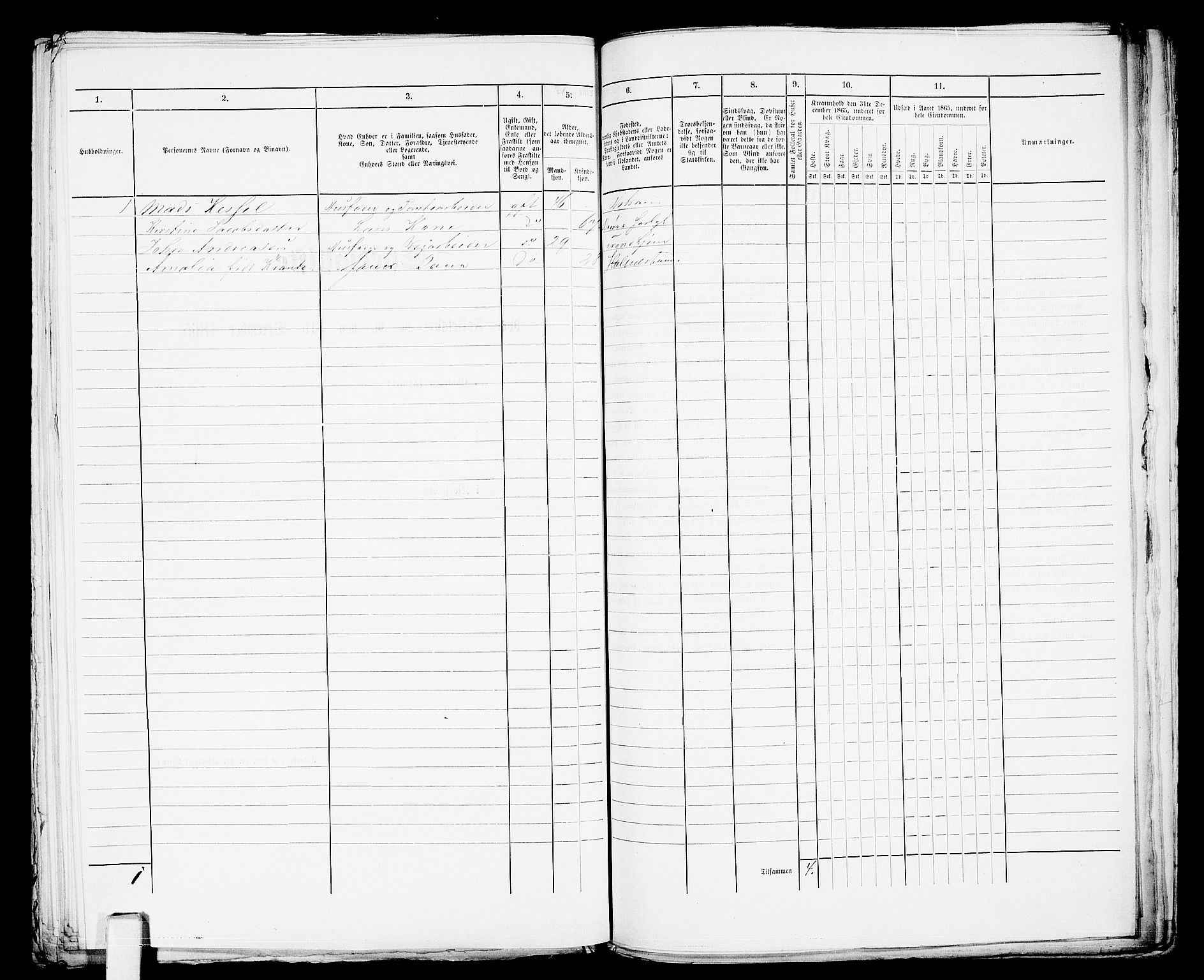 RA, 1865 census for Botne/Holmestrand, 1865, p. 370