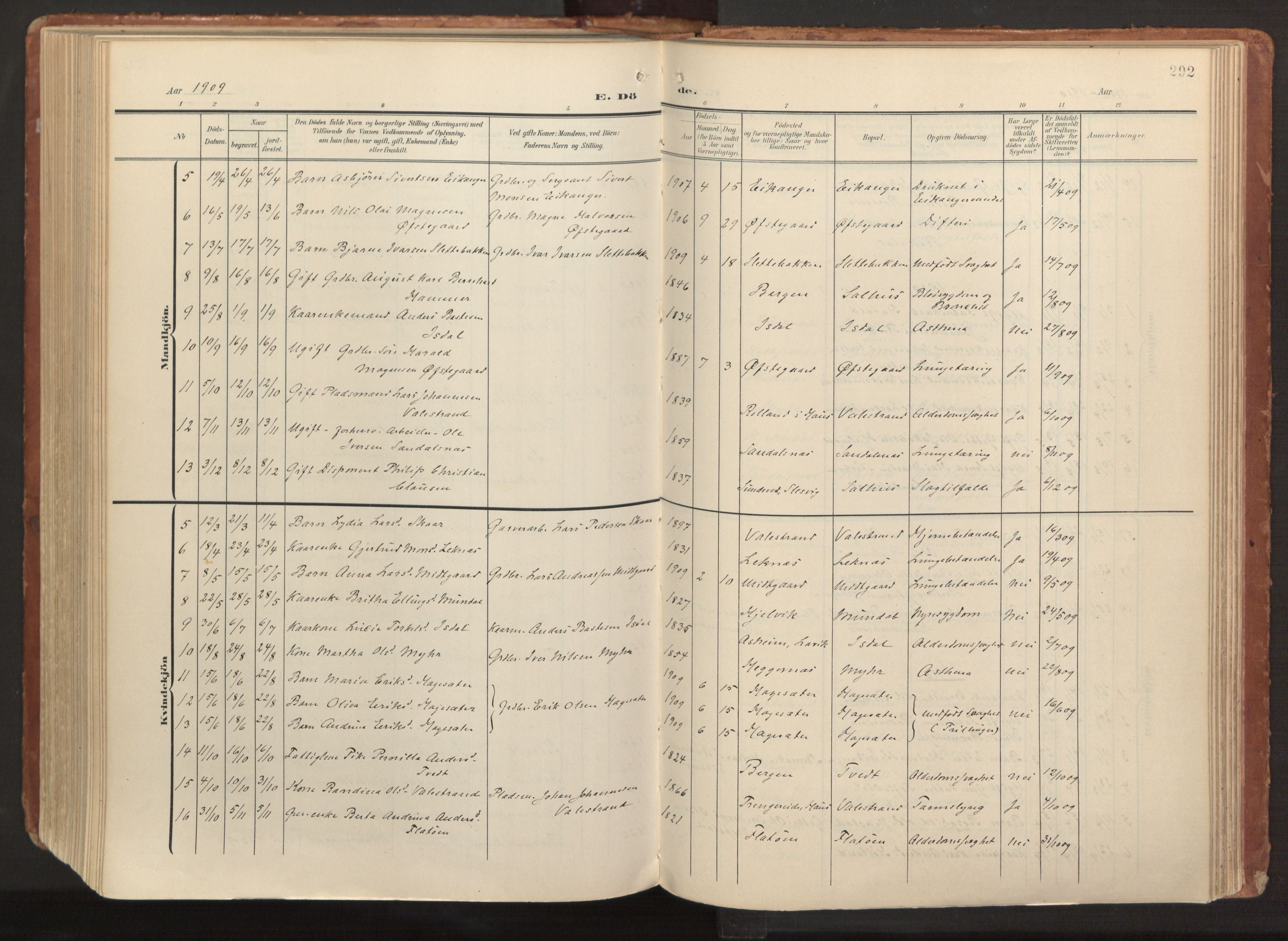 Hamre sokneprestembete, AV/SAB-A-75501/H/Ha/Haa/Haab/L0002: Parish register (official) no. B 2, 1905-1924, p. 292