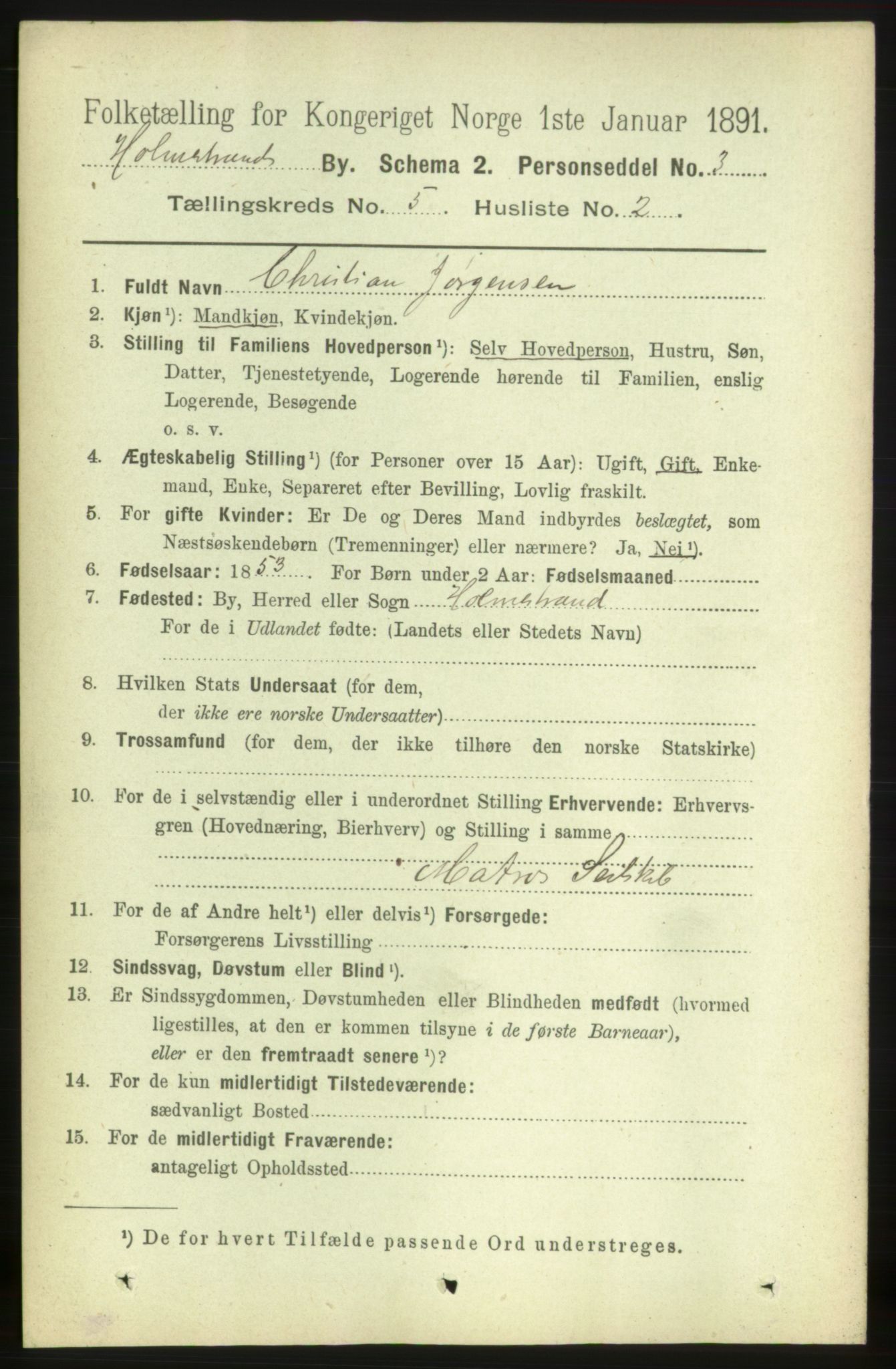 RA, 1891 census for 0702 Holmestrand, 1891, p. 2655