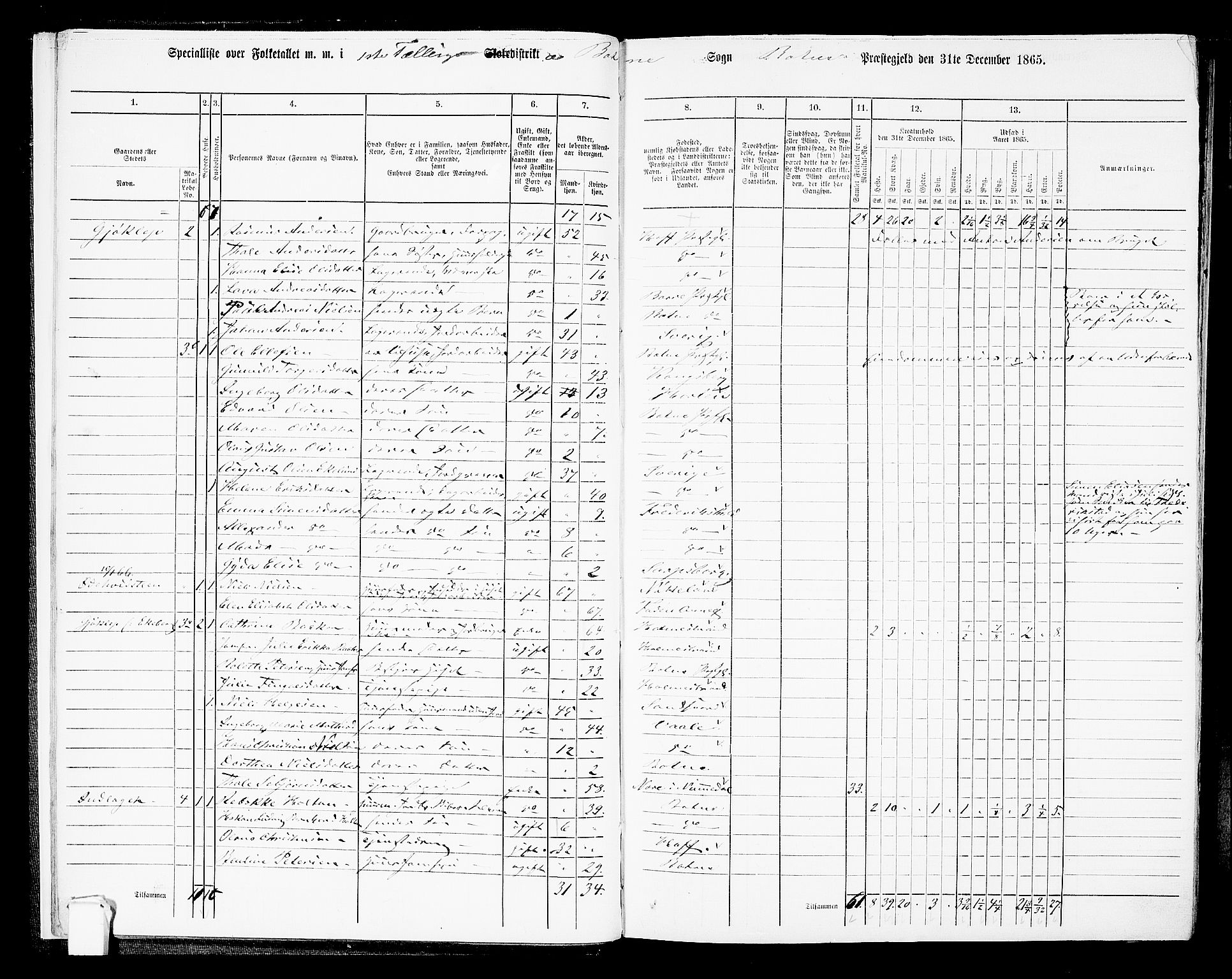 RA, 1865 census for Botne/Botne og Hillestad, 1865, p. 13