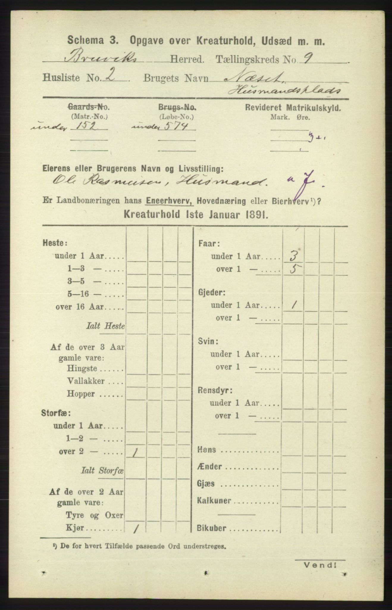 RA, 1891 census for 1251 Bruvik, 1891, p. 4803