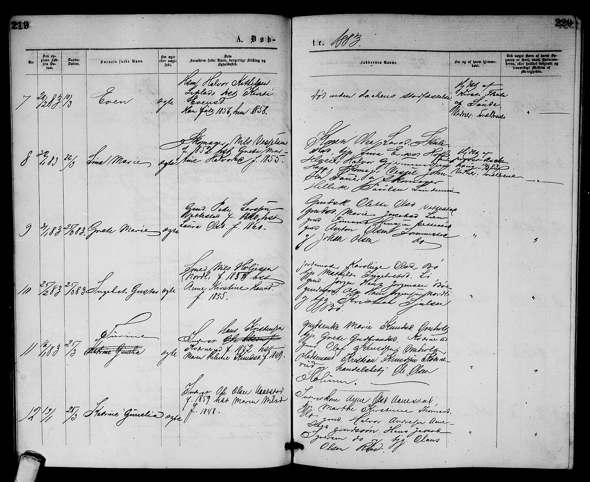 Sandsvær kirkebøker, AV/SAKO-A-244/G/Gb/L0001: Parish register (copy) no. II 1, 1874-1885, p. 219-220