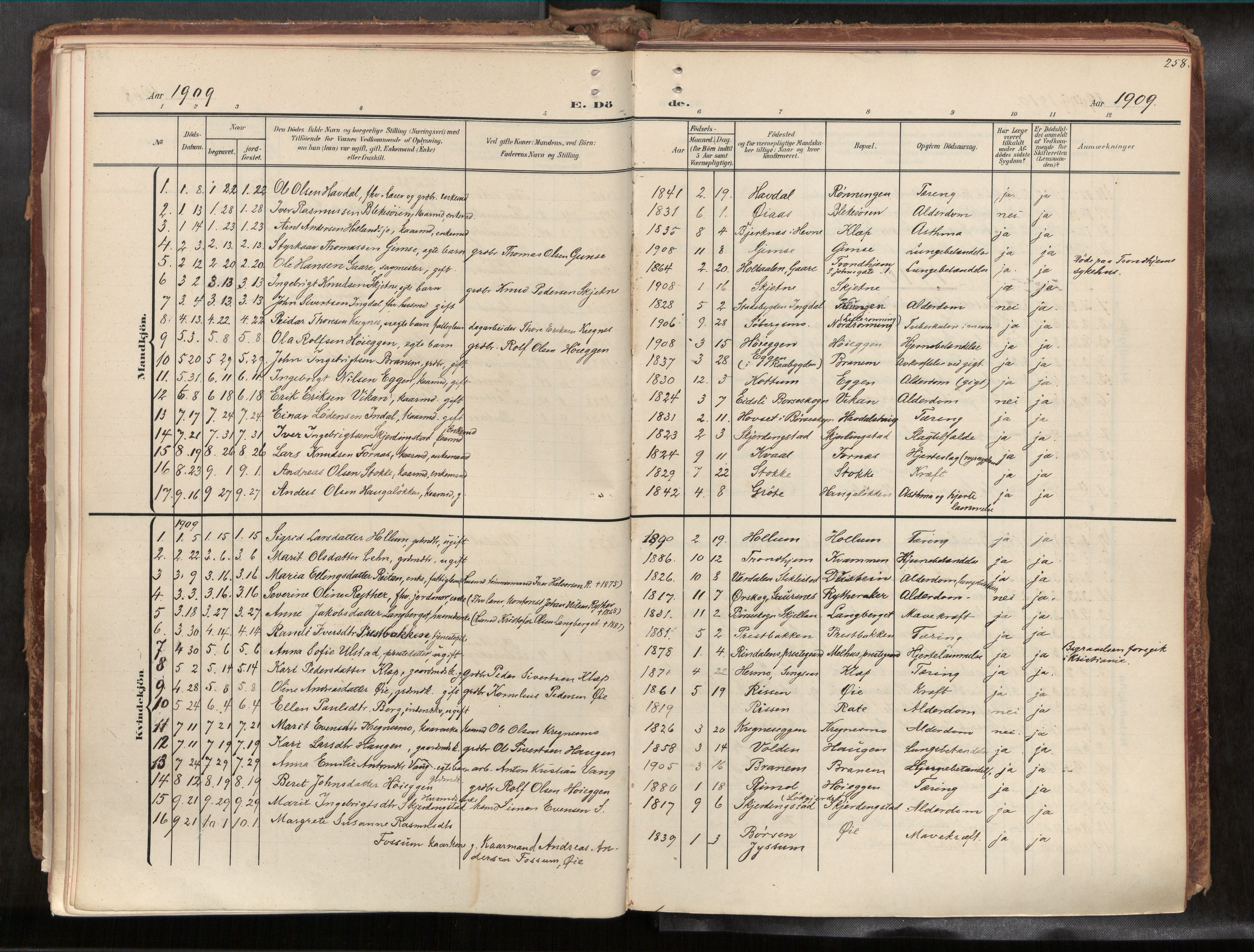 Ministerialprotokoller, klokkerbøker og fødselsregistre - Sør-Trøndelag, AV/SAT-A-1456/691/L1085b: Parish register (official) no. 691A18, 1908-1930, p. 258