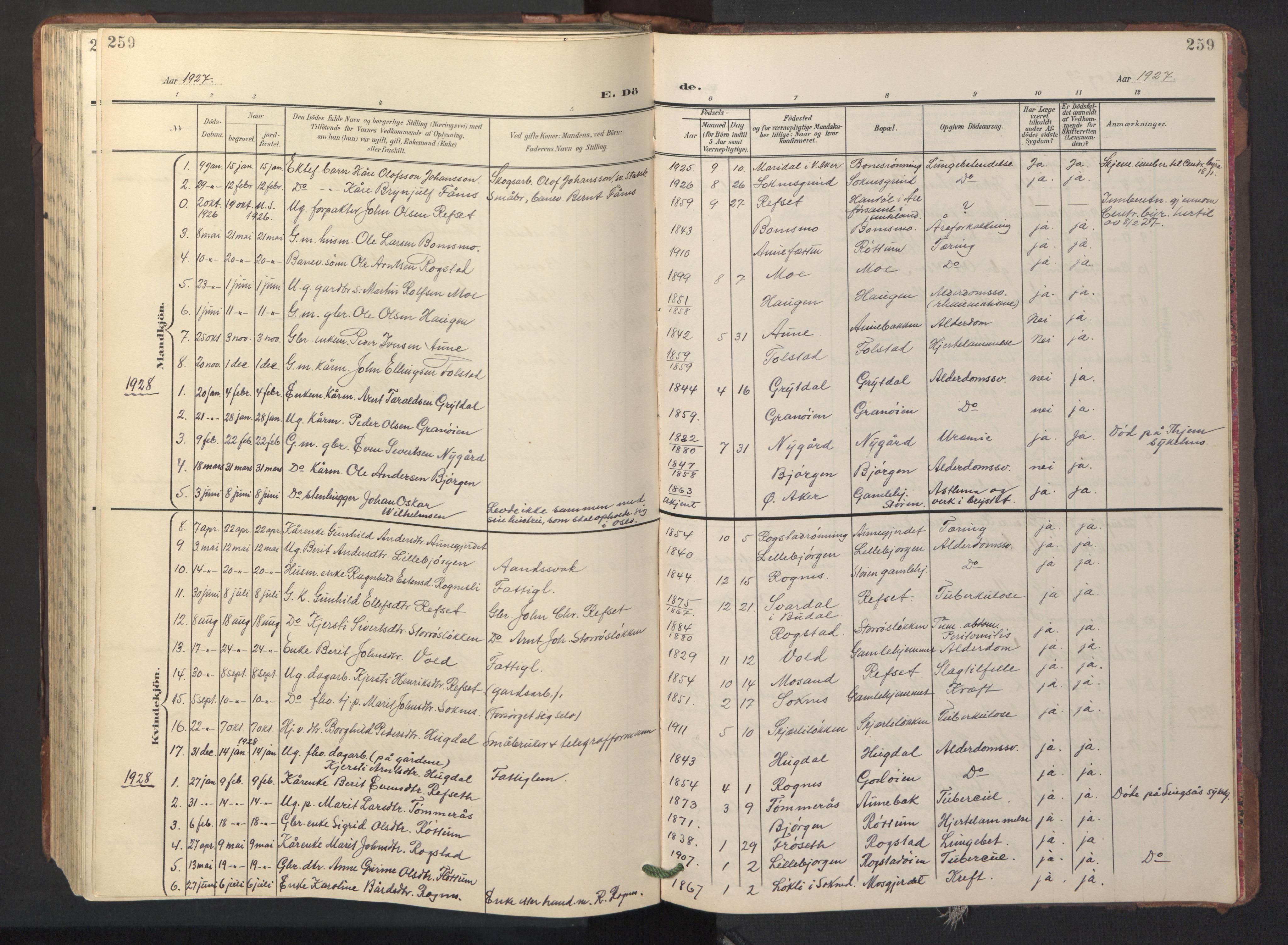Ministerialprotokoller, klokkerbøker og fødselsregistre - Sør-Trøndelag, SAT/A-1456/687/L1019: Parish register (copy) no. 687C03, 1904-1931, p. 259