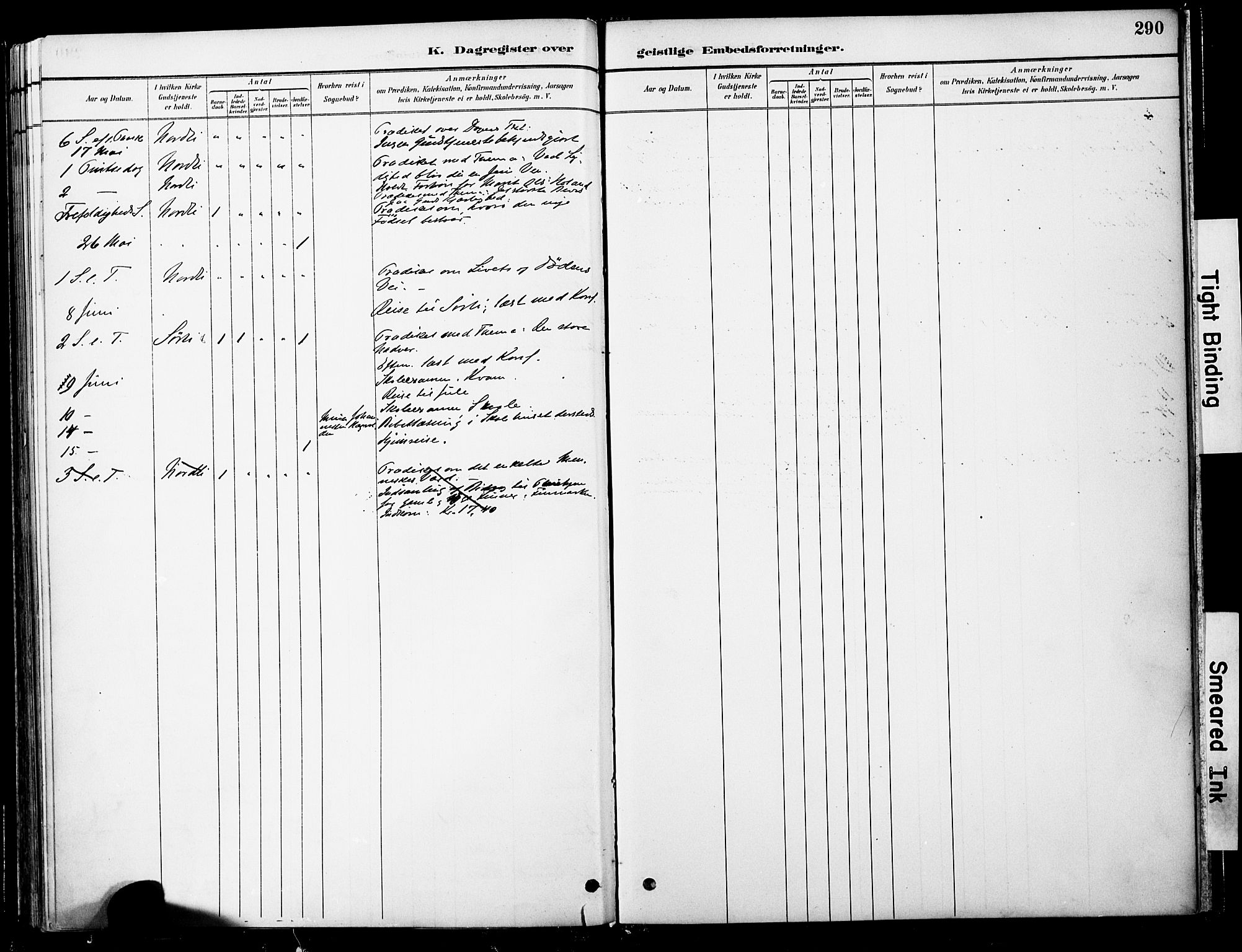 Ministerialprotokoller, klokkerbøker og fødselsregistre - Nord-Trøndelag, SAT/A-1458/755/L0494: Parish register (official) no. 755A03, 1882-1902, p. 290