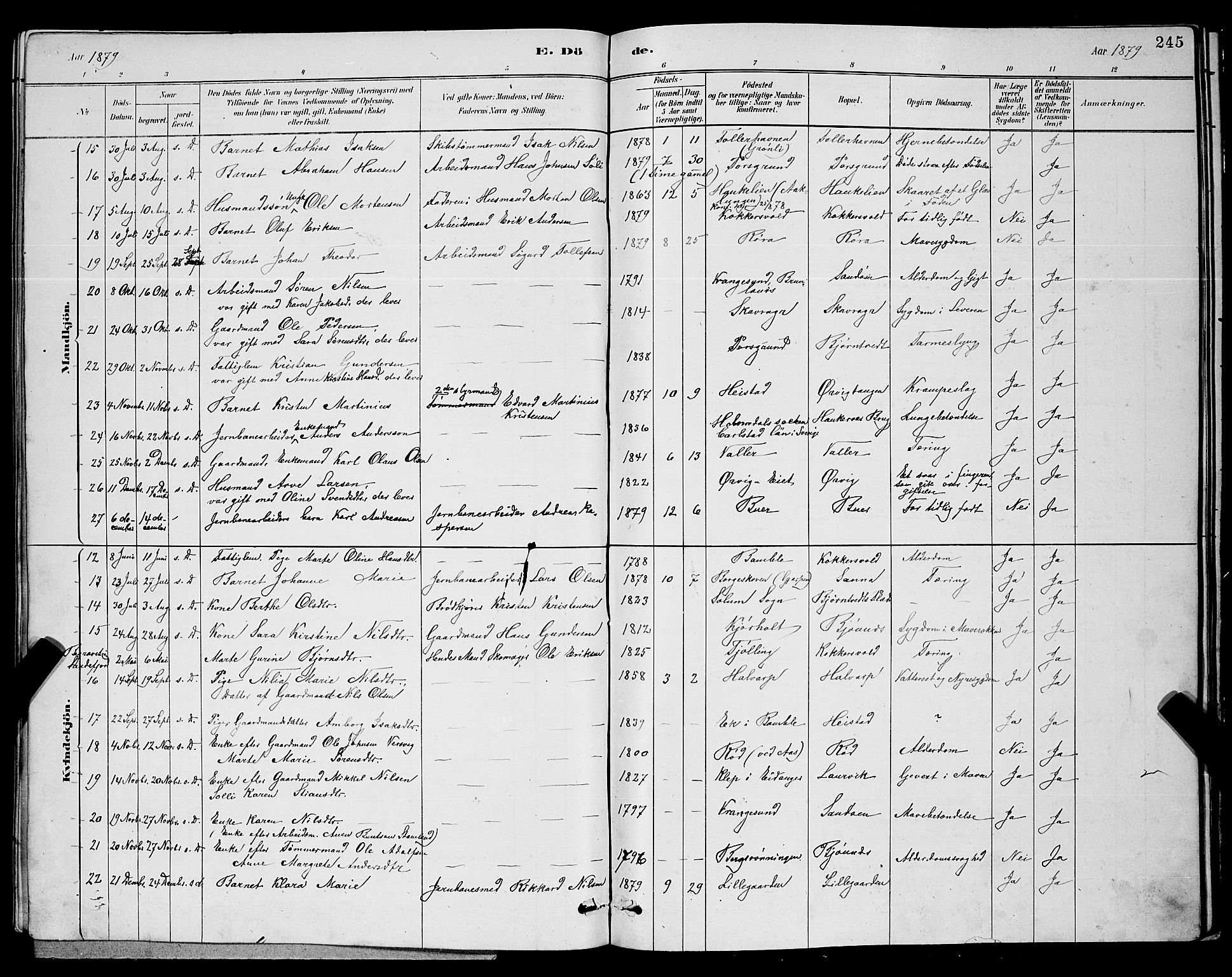 Eidanger kirkebøker, AV/SAKO-A-261/G/Ga/L0002: Parish register (copy) no. 2, 1879-1892, p. 245