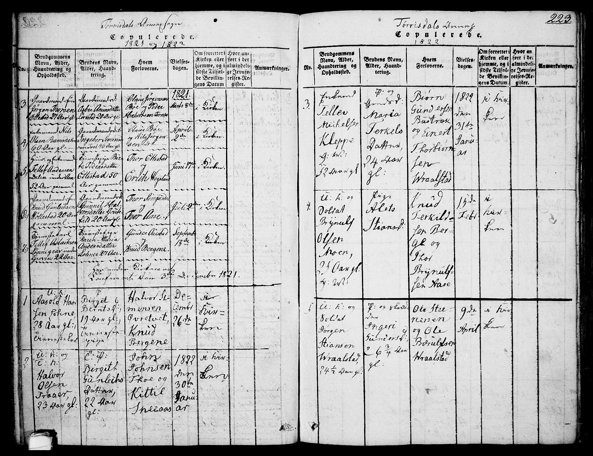 Drangedal kirkebøker, SAKO/A-258/F/Fa/L0005: Parish register (official) no. 5 /2, 1814-1831, p. 223