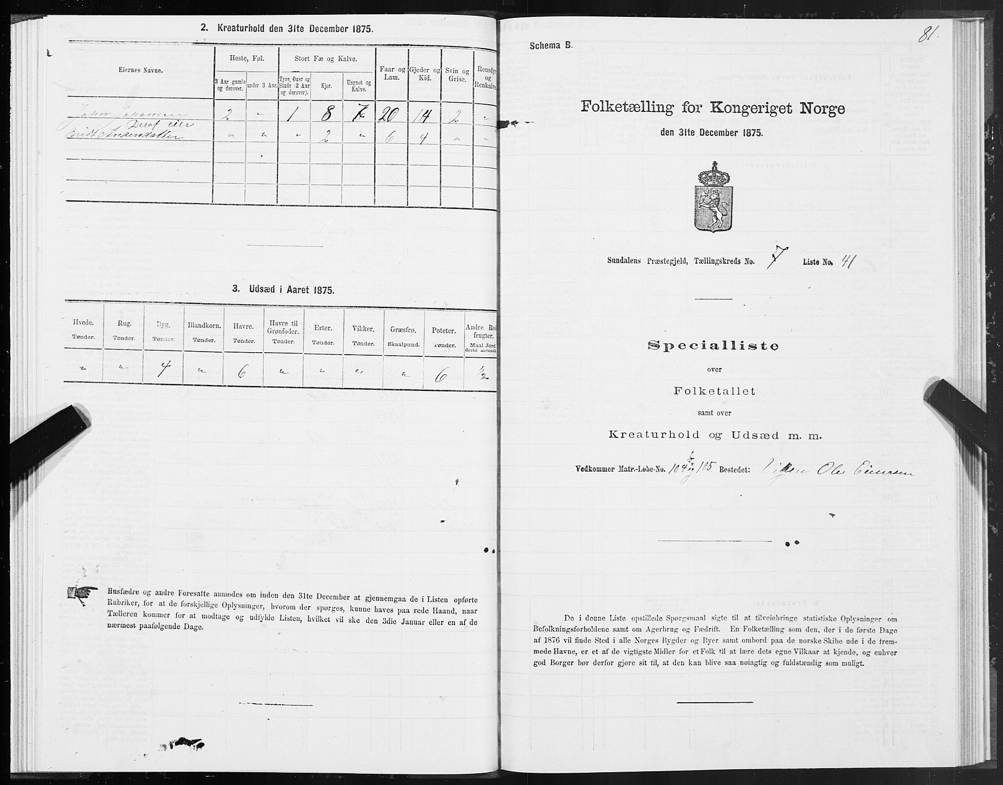 SAT, 1875 census for 1563P Sunndal, 1875, p. 3081