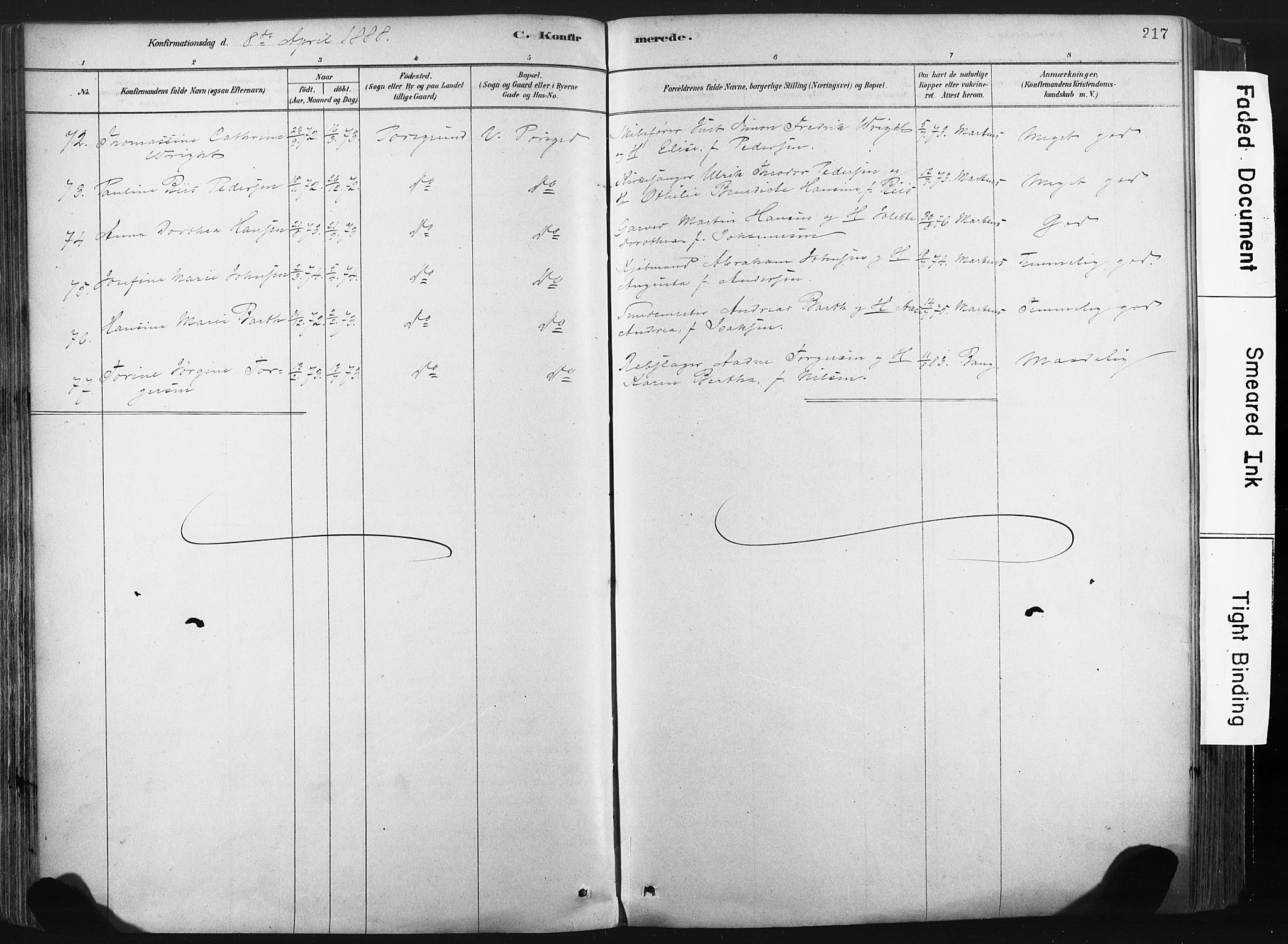 Porsgrunn kirkebøker , AV/SAKO-A-104/F/Fa/L0008: Parish register (official) no. 8, 1878-1895, p. 217